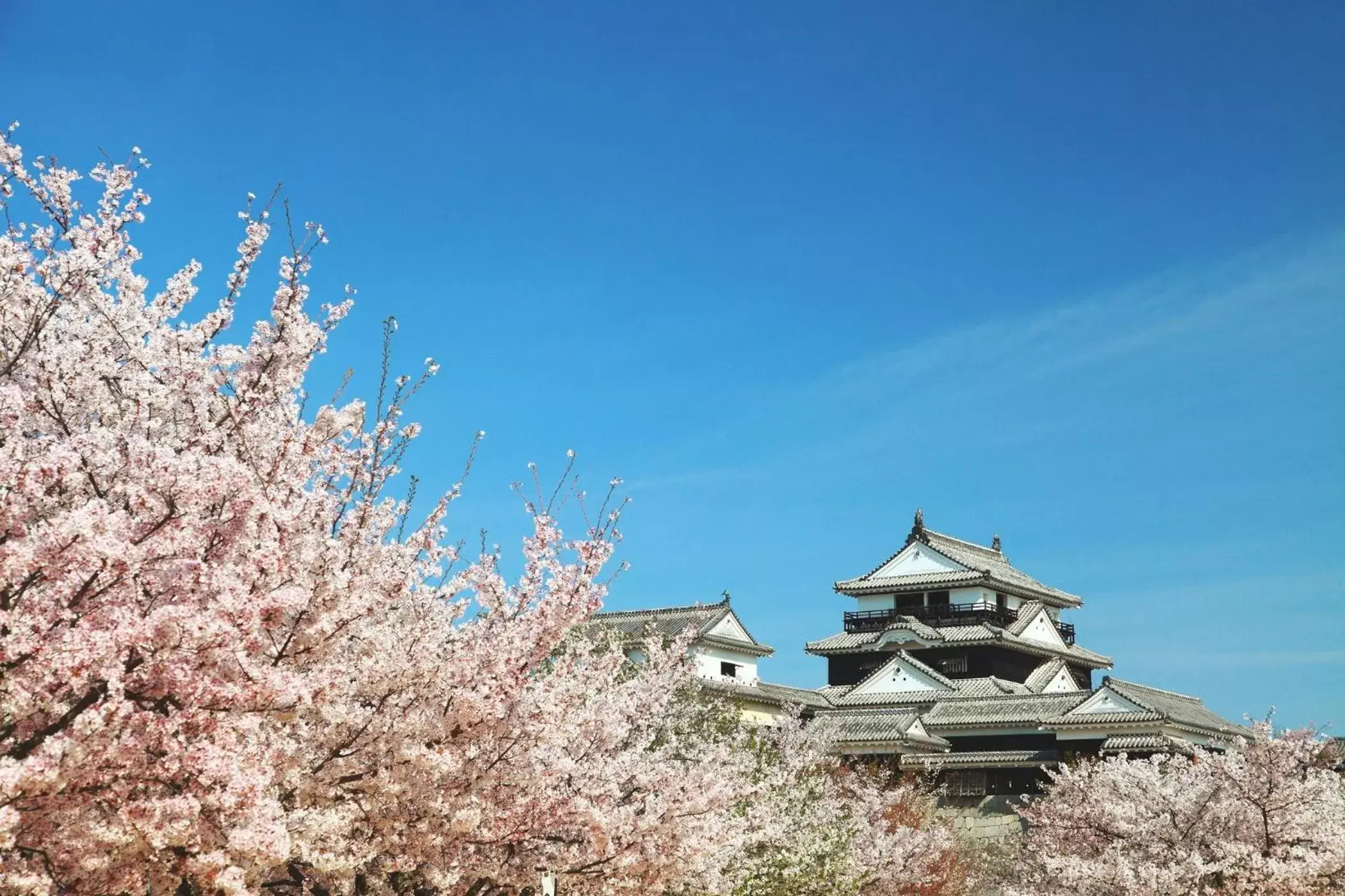 Nearby landmark, Winter in ANA Crowne Plaza Matsuyama, an IHG Hotel