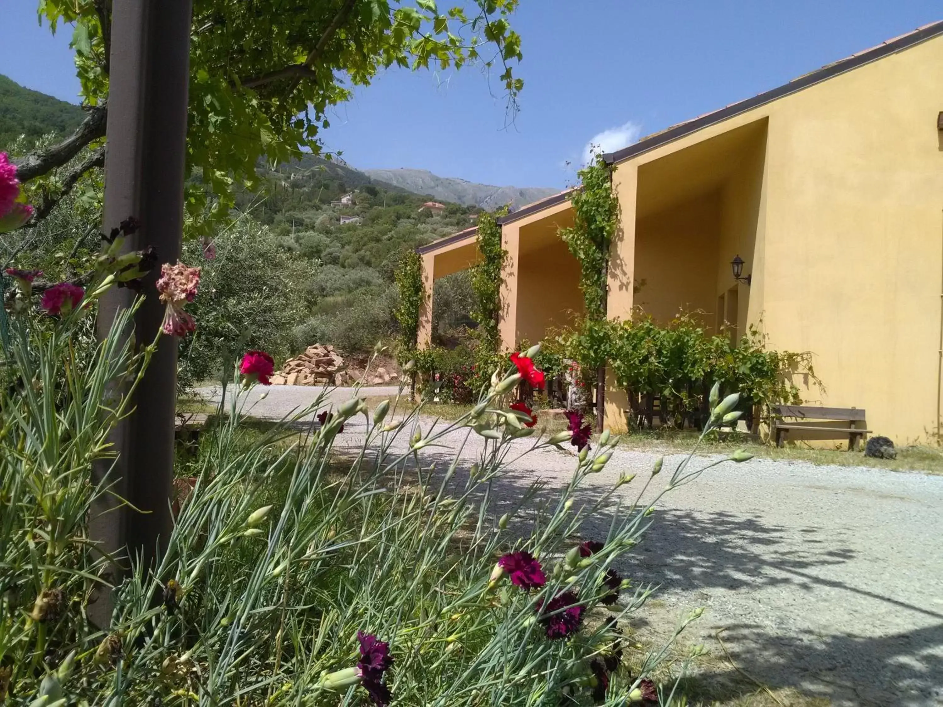 Facade/entrance in Villaggio dei Balocchi