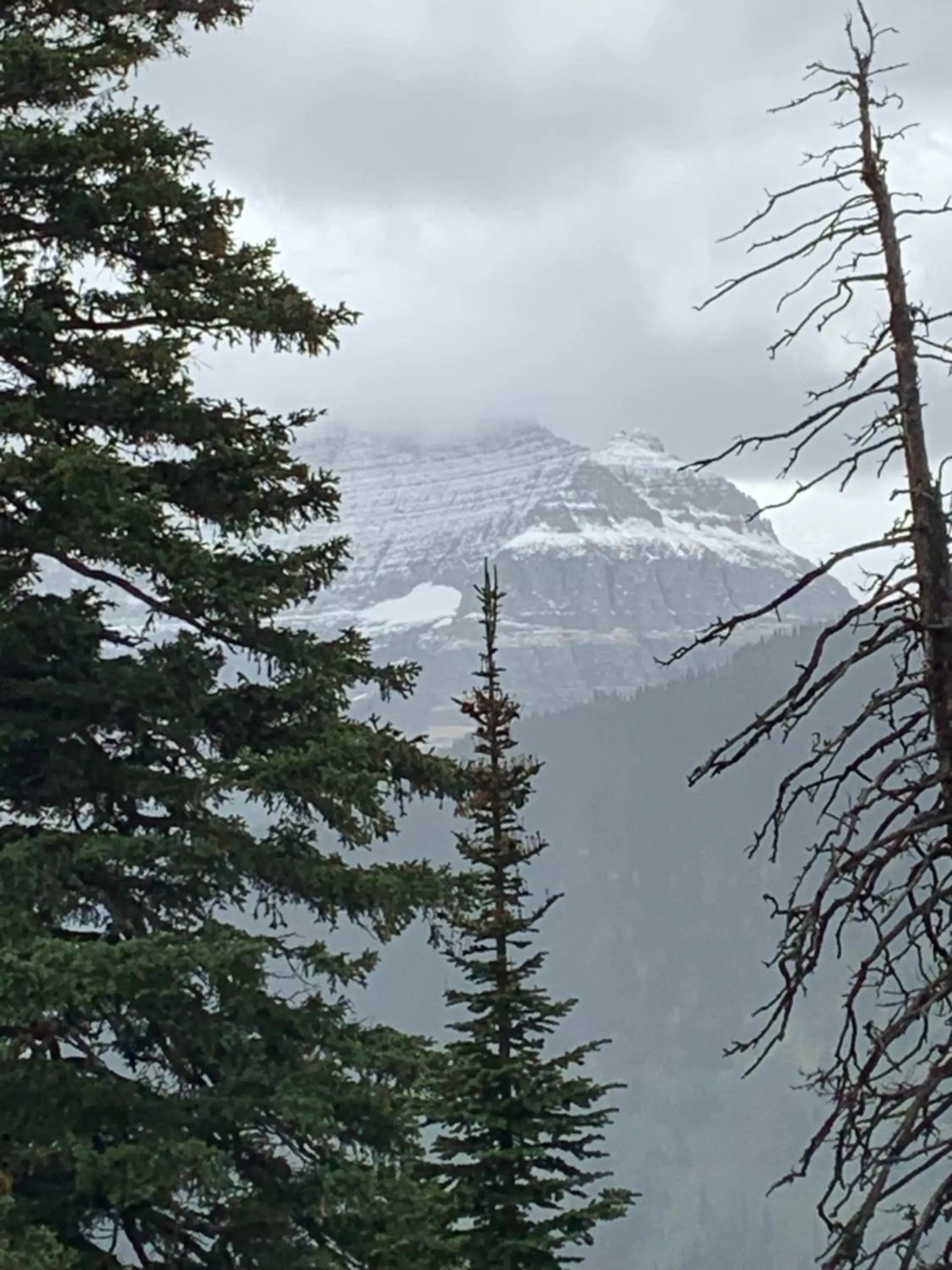 Natural landscape, Winter in Glacier Haven Inn