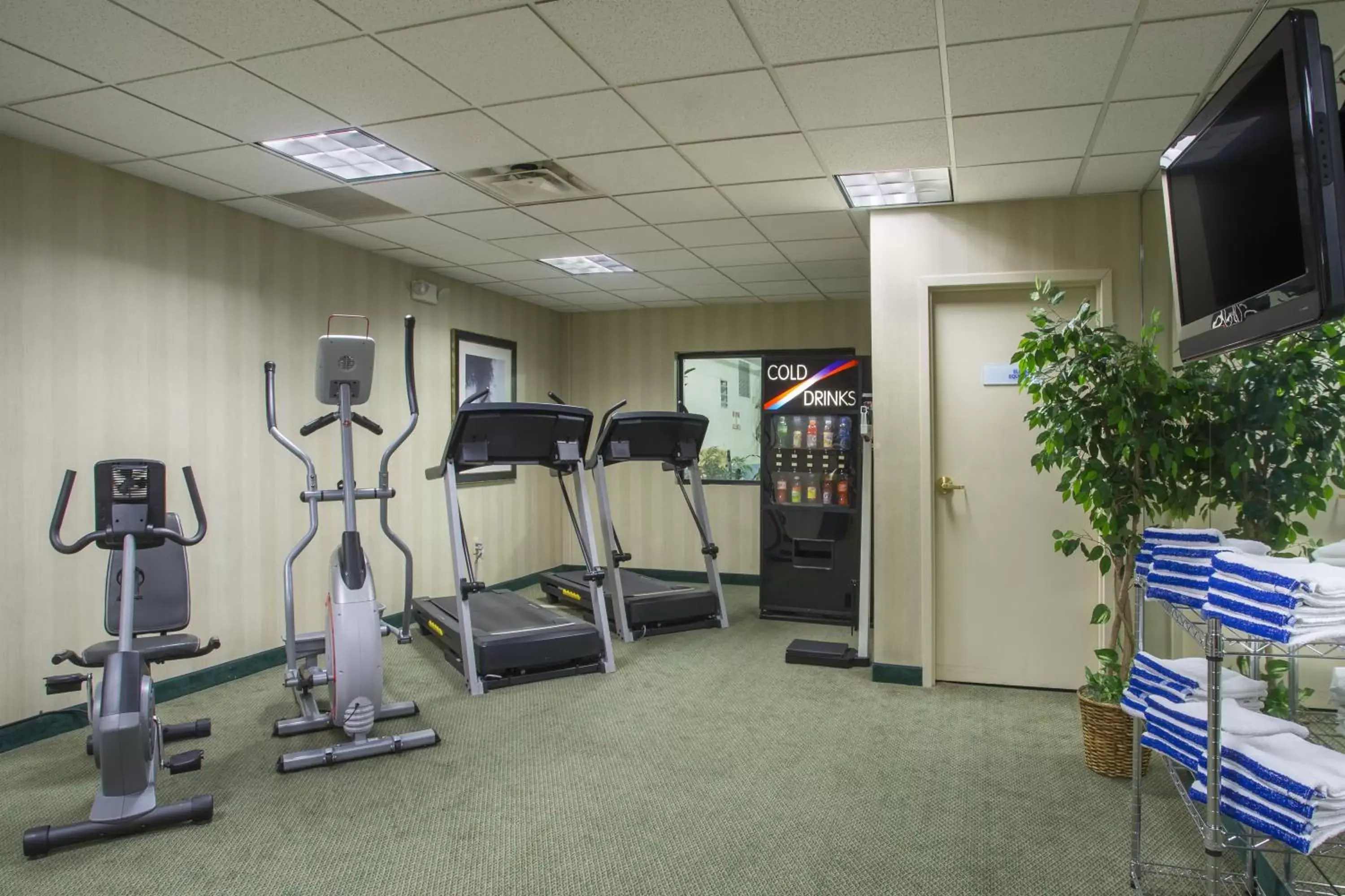 Fitness centre/facilities, Fitness Center/Facilities in Holiday Inn Express Hotel & Suites Columbus Airport, an IHG Hotel