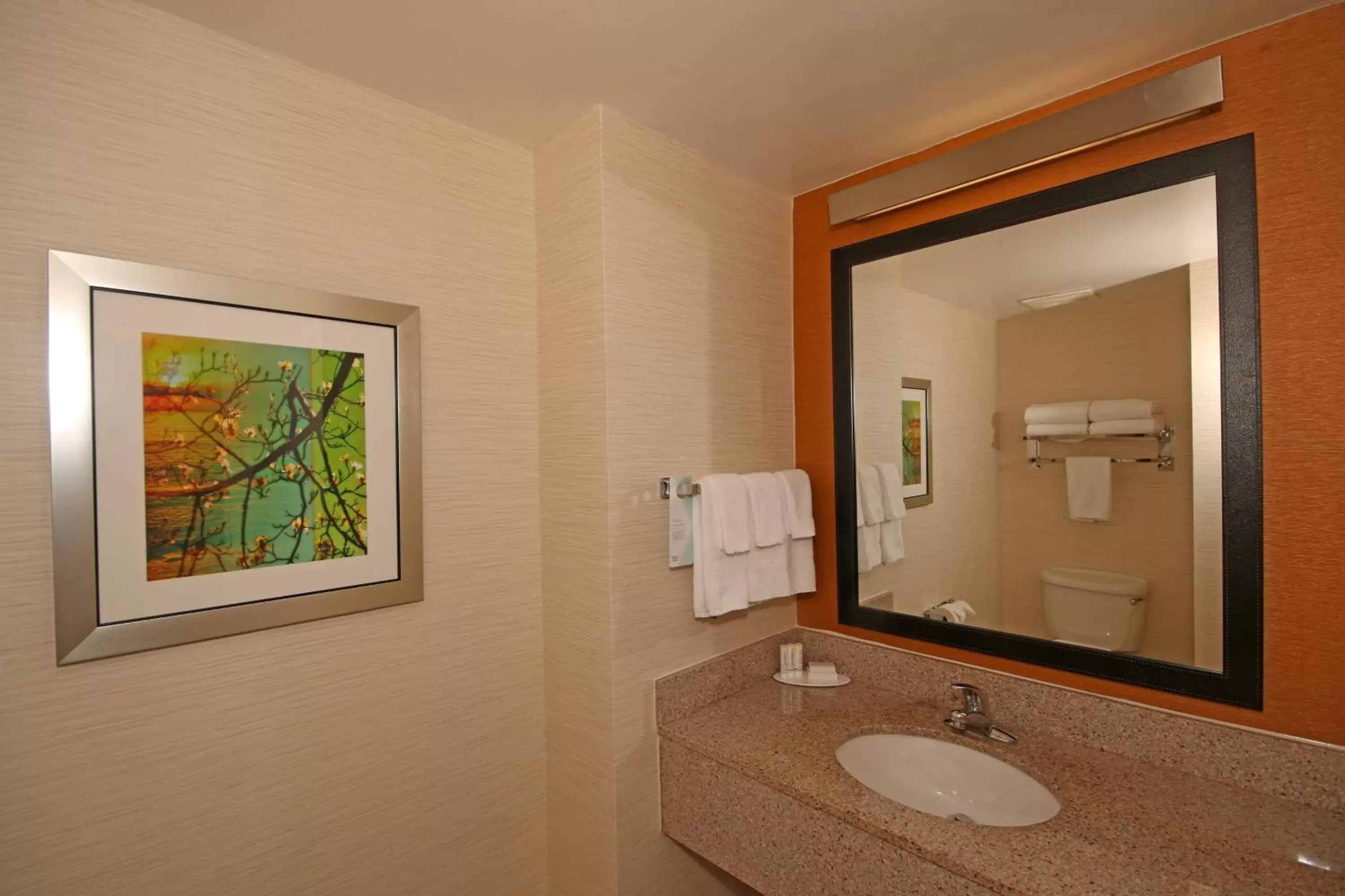 Bathroom in Fairfield Inn & Suites by Marriott Aiken
