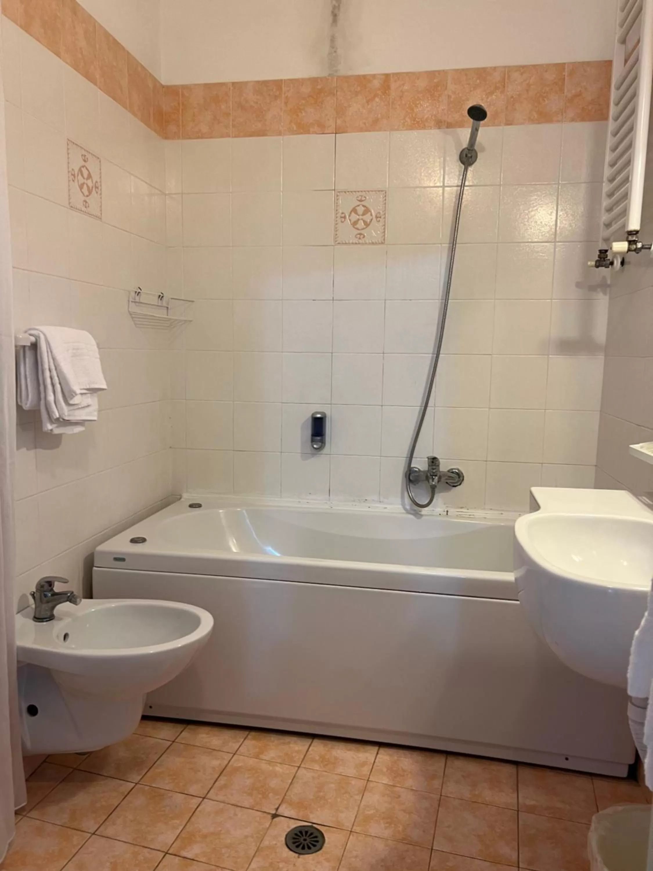 Shower in Hotel Stella D'Italia - Nuova gestione