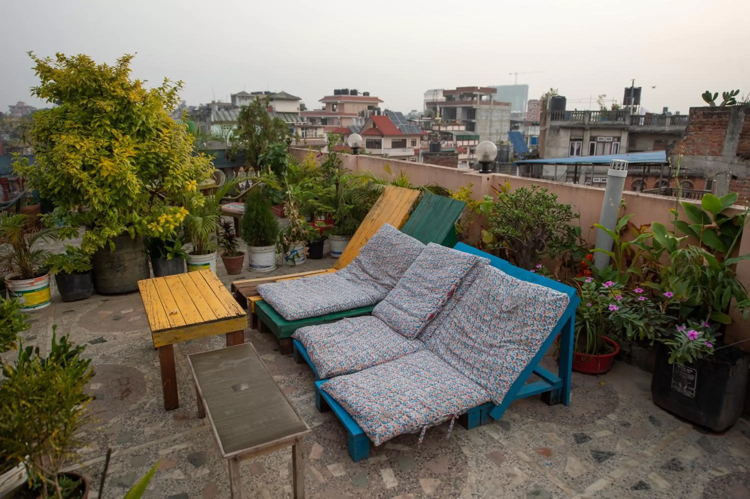 Garden in Hotel Pomelo House