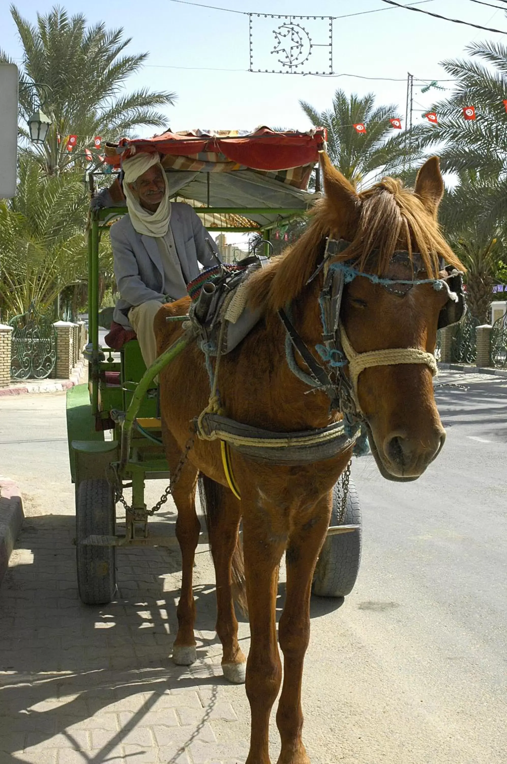 Entertainment, Horseback Riding in El Mouradi Tozeur