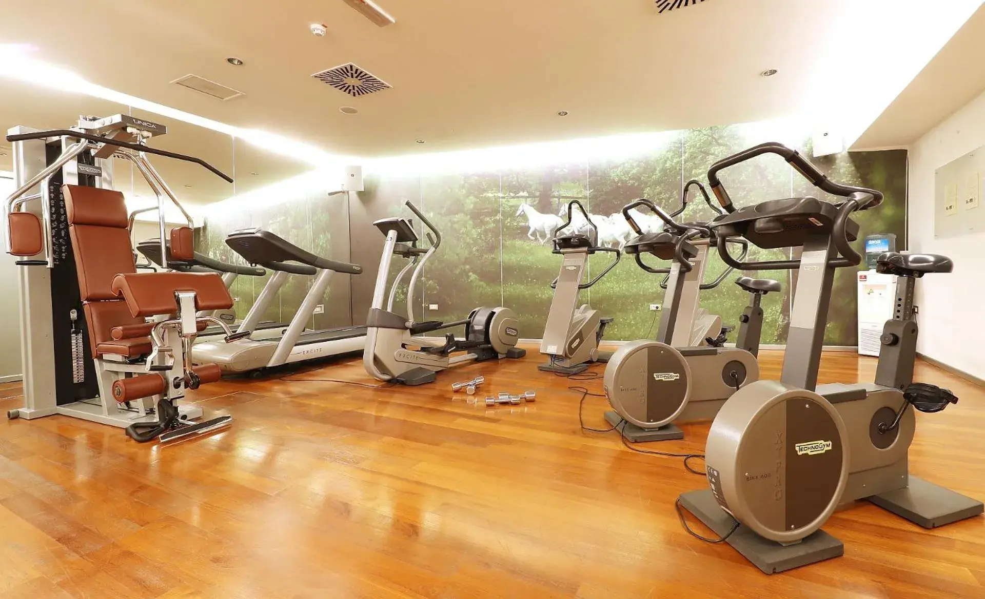 Fitness centre/facilities in Grand Hotel Bernardin Fitness centre/facilities in Grand Hotel Bernardin