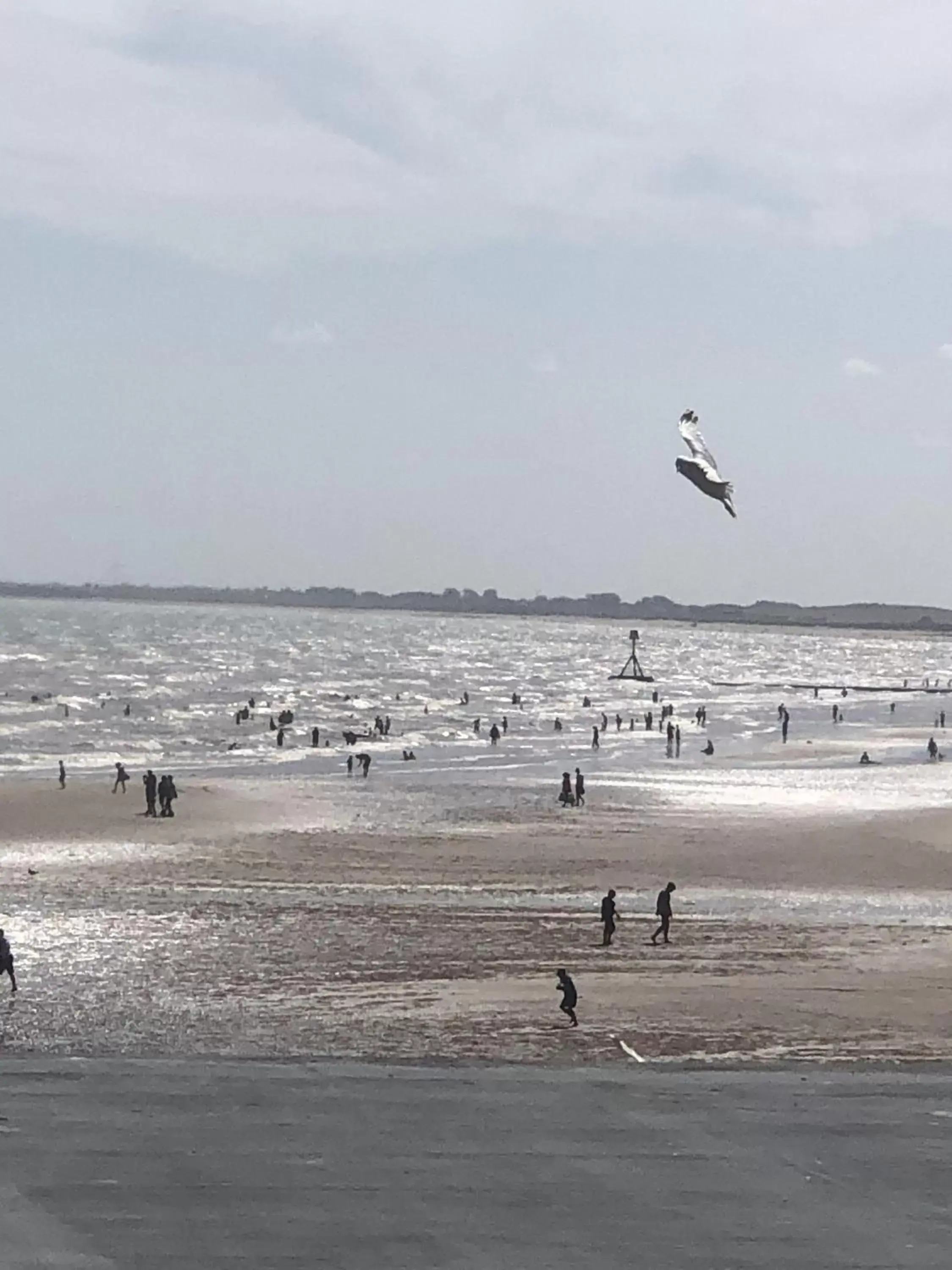 Beach in Salt on the Harbour