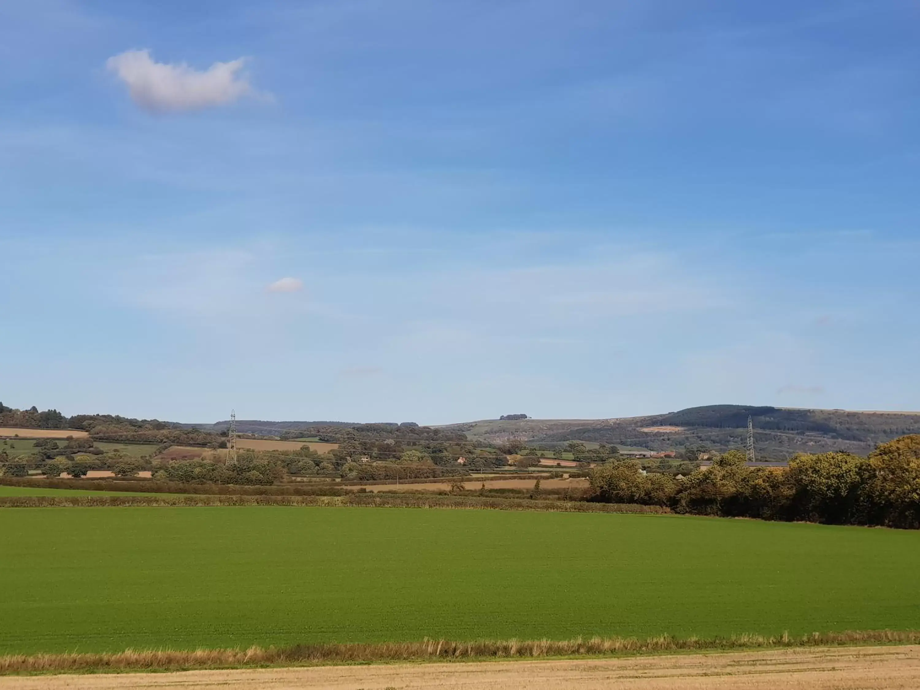 Natural landscape in OYO White Horse Lodge Hotel, East Thirsk