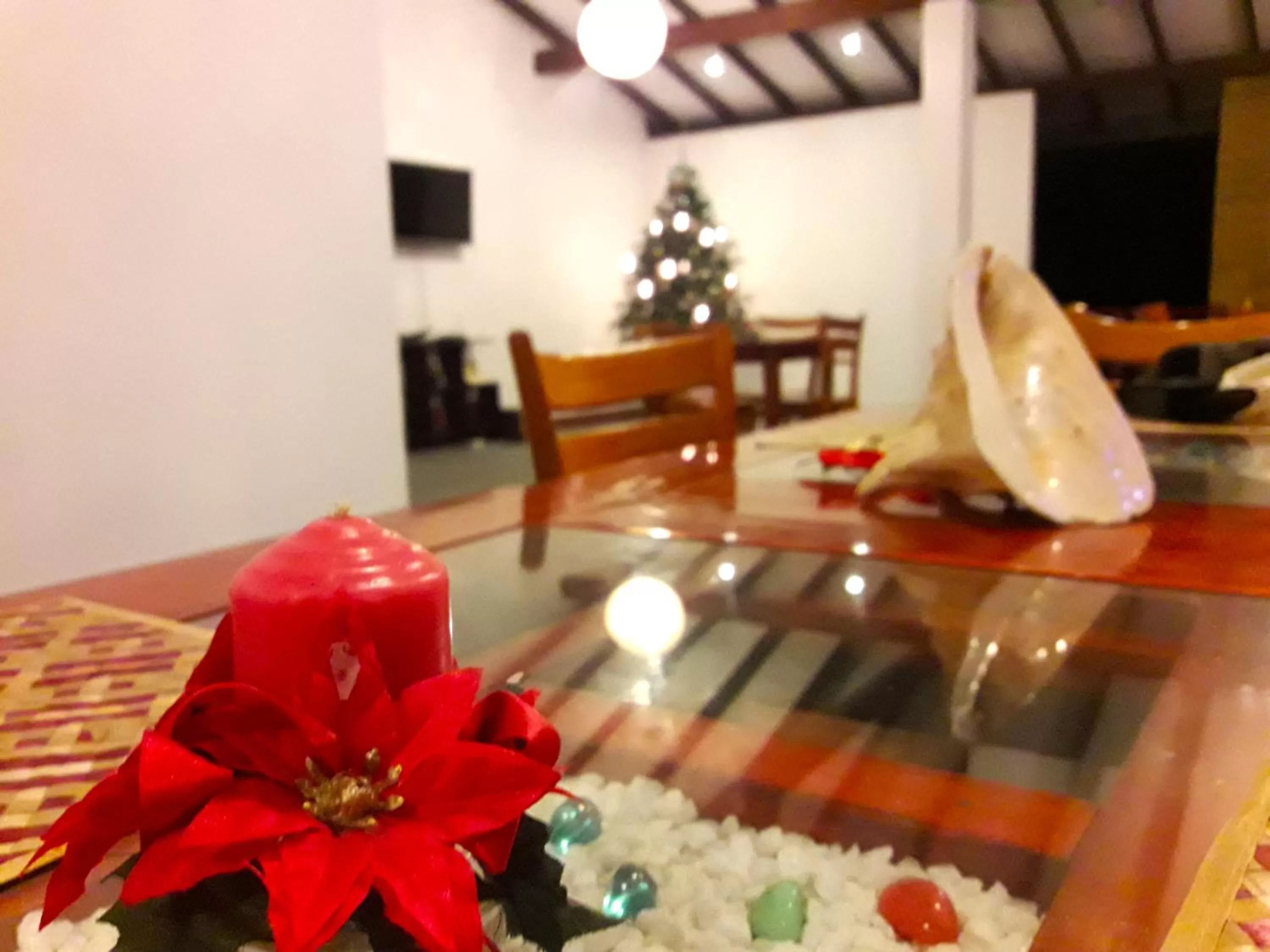 Winter in Nico Lagoon Hotel