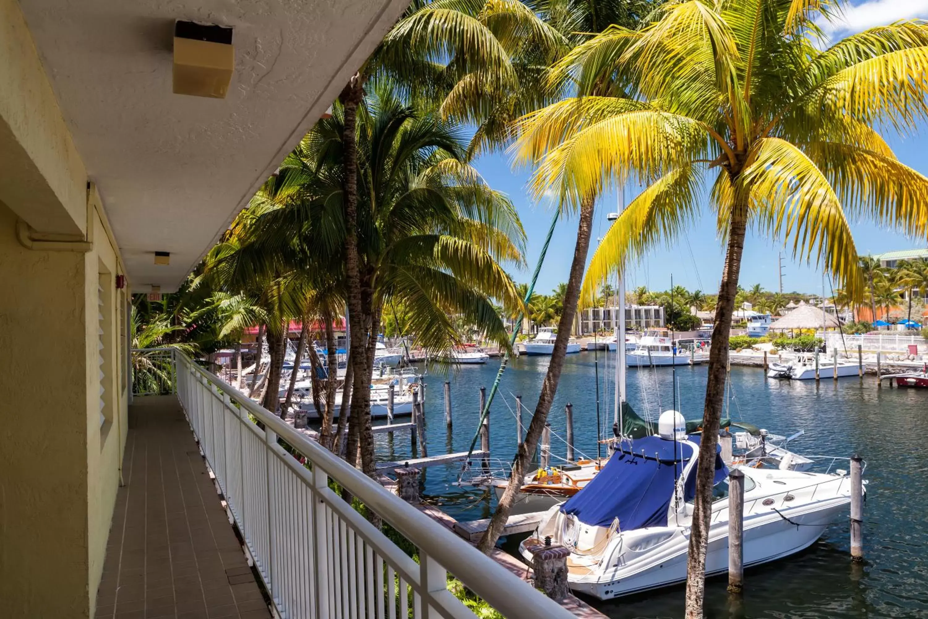 View (from property/room) in Marina Del Mar Resort and Marina