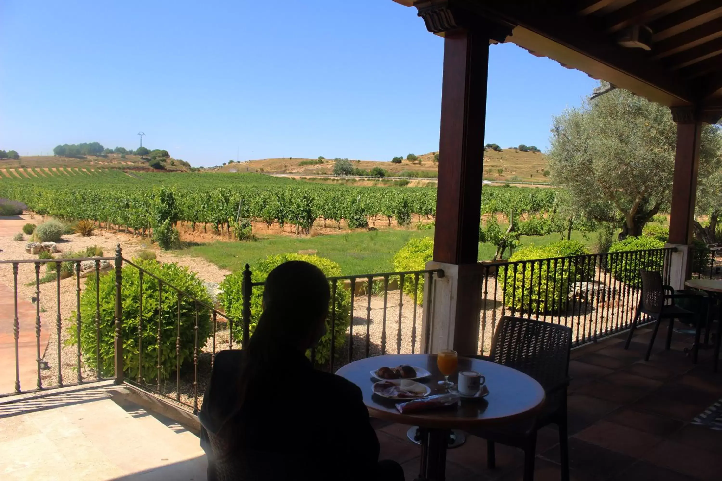 Breakfast in Hotel Spa Tudanca Aranda