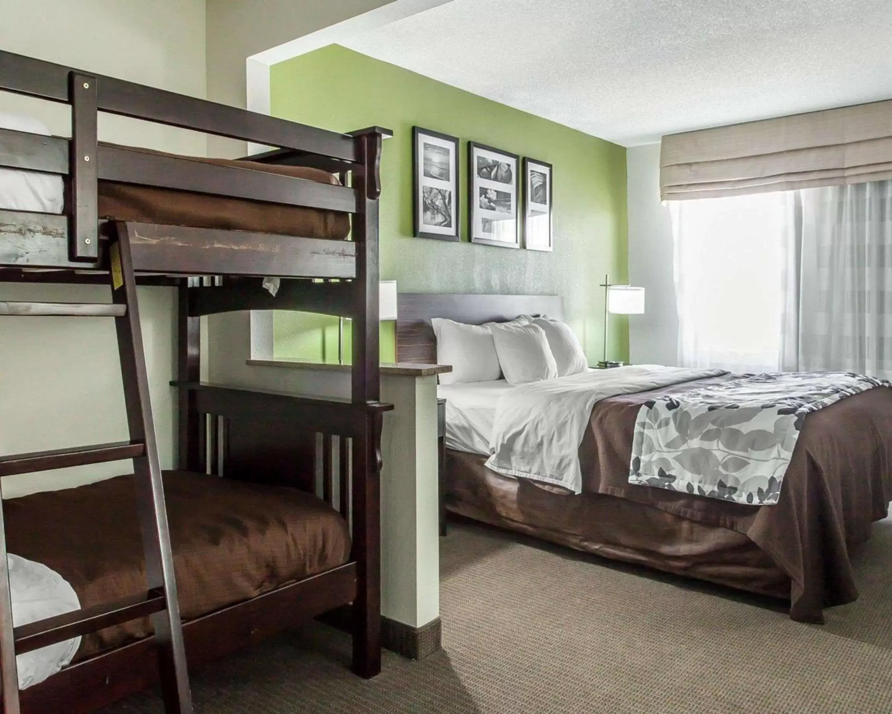 Photo of the whole room in Sleep Inn & Suites Near I-90 and Ashtabula