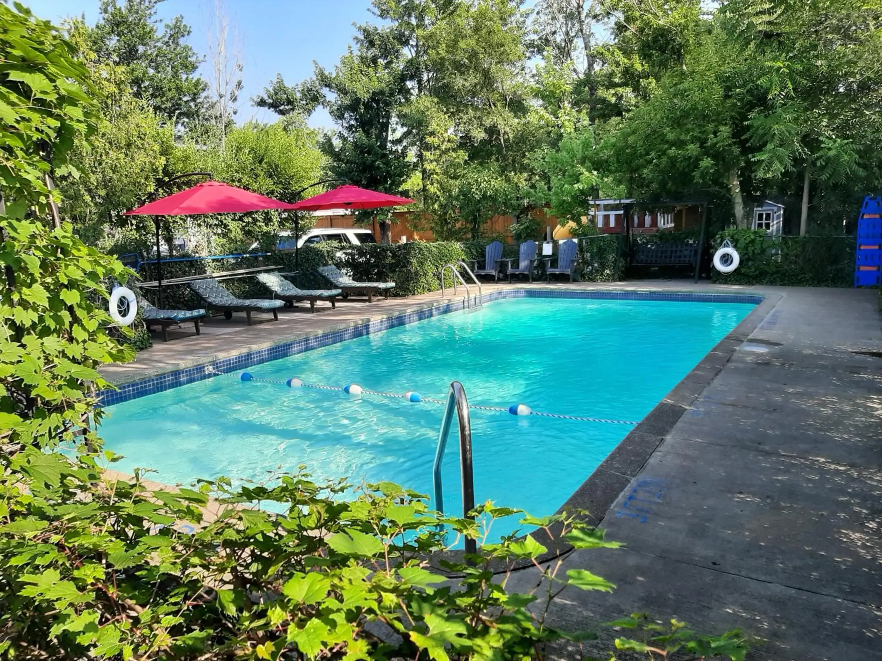 Swimming Pool in Blue Moon Motel