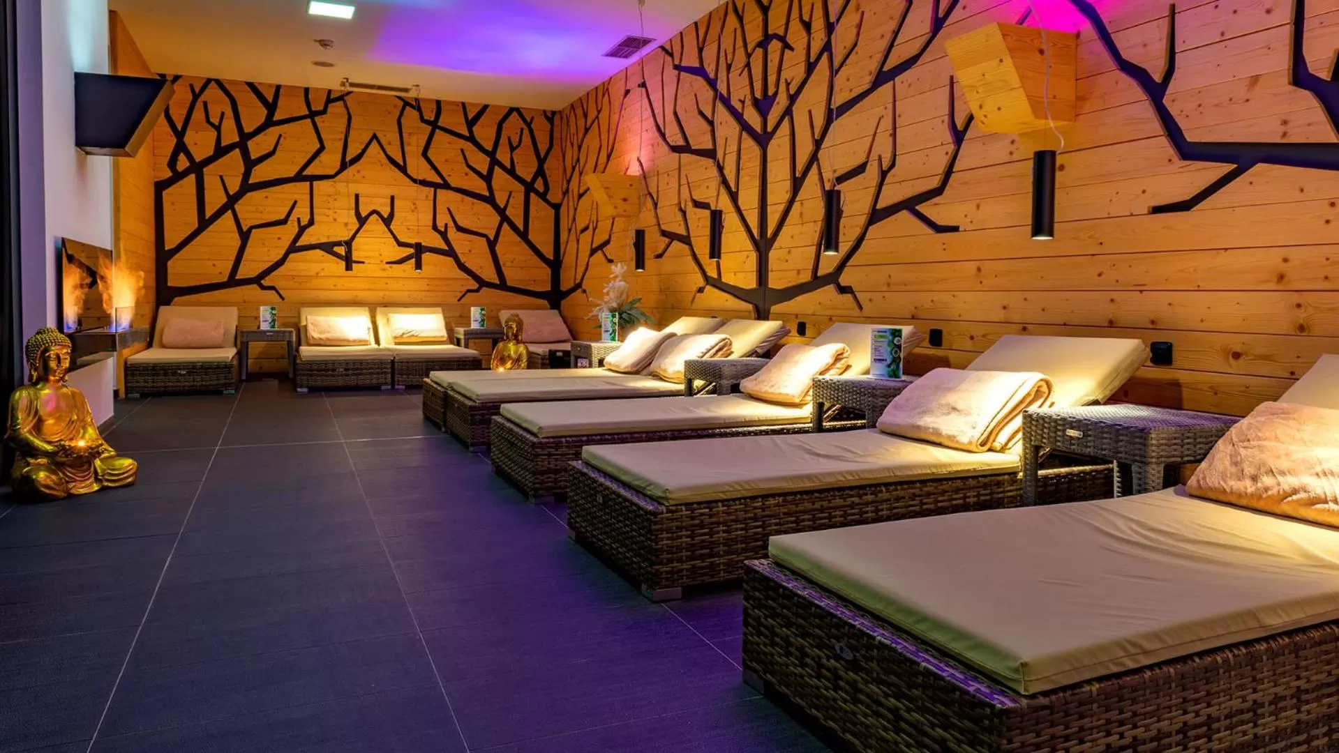 Spa and wellness centre/facilities in Hotel AquaCity Mountain View