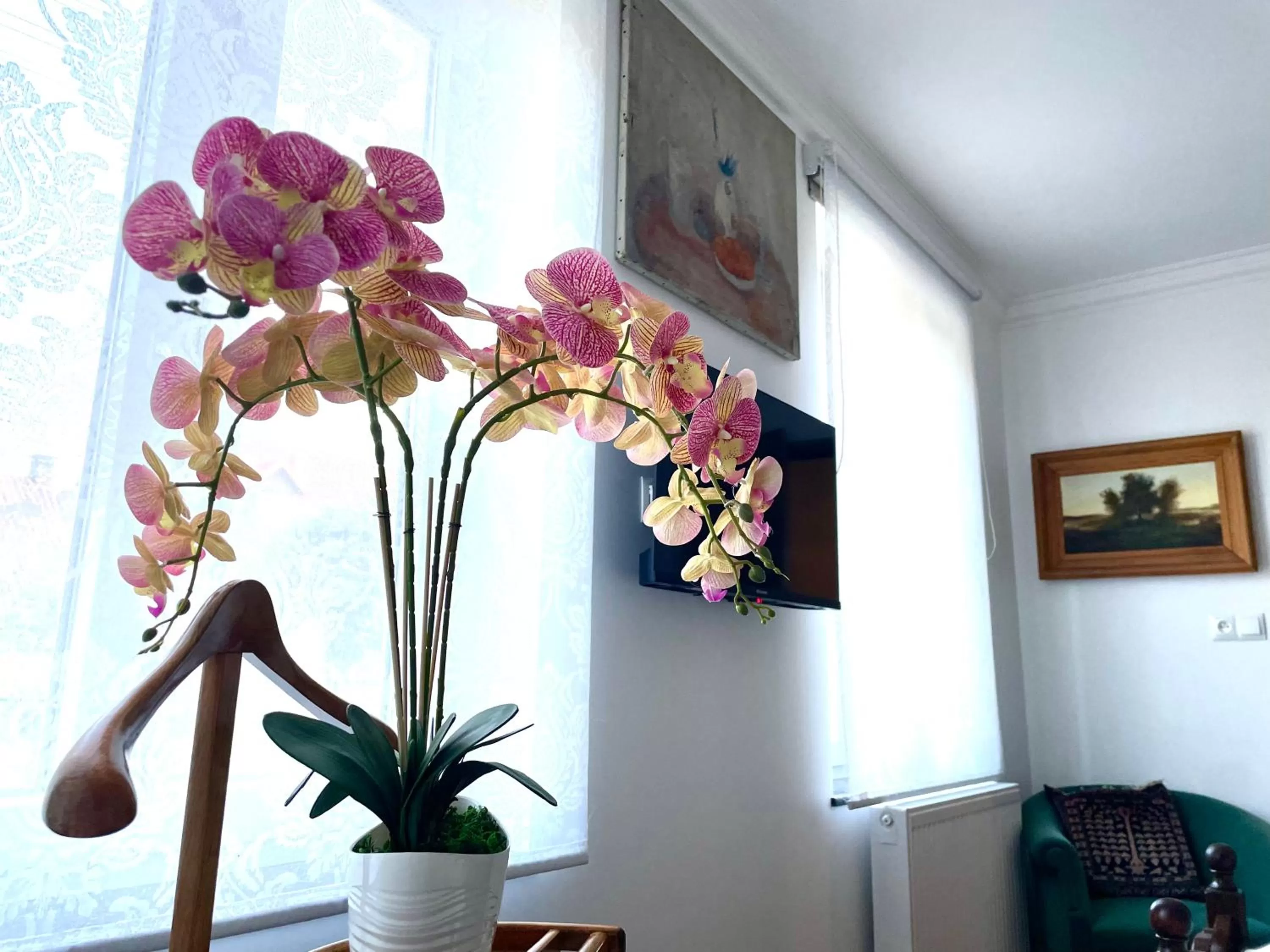 CHATA OTWARTYCH OKIENNIC Pokoje Gościnne