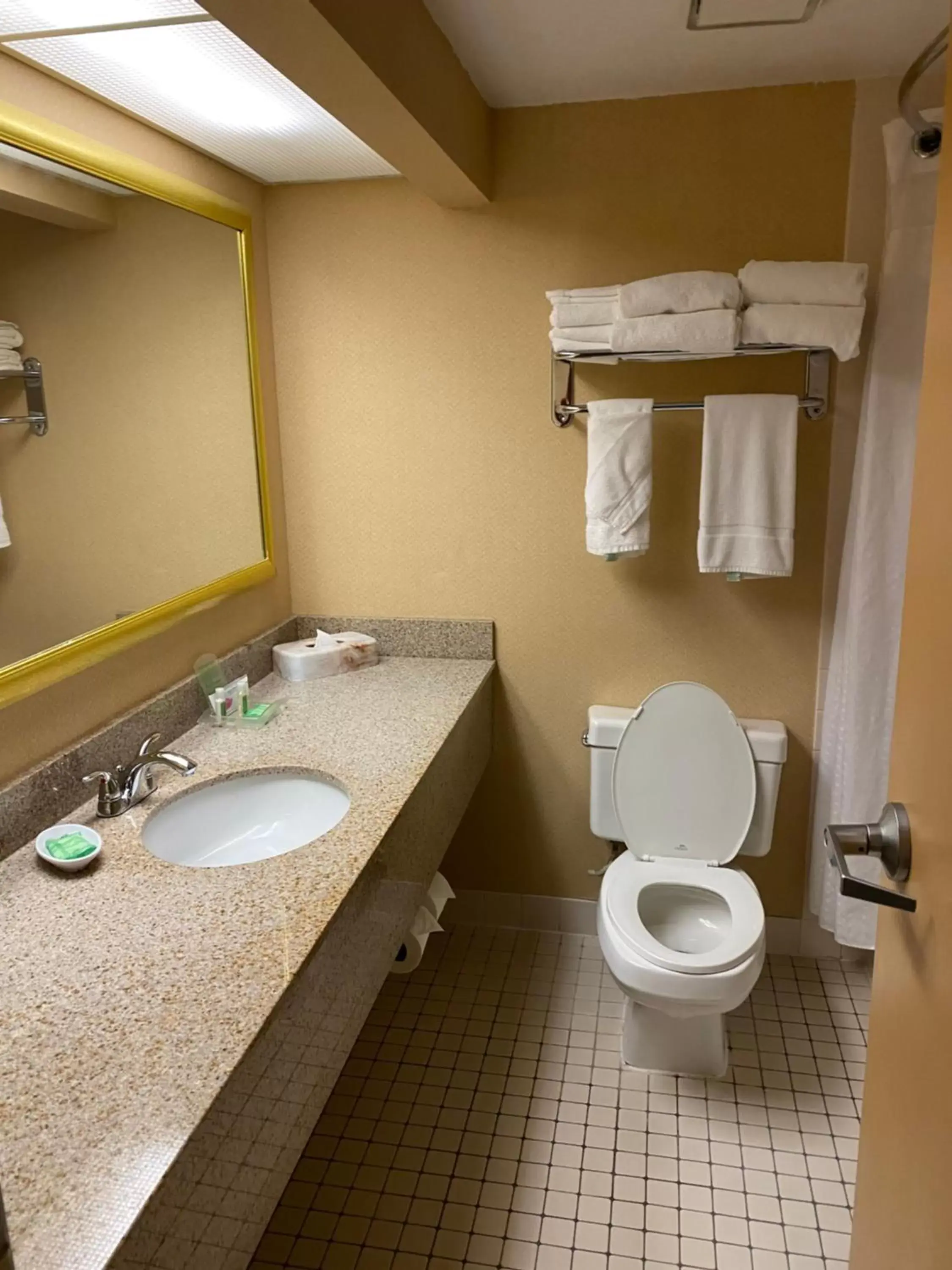 Bathroom in Holiday Inn Austin Conference Center, an IHG Hotel
