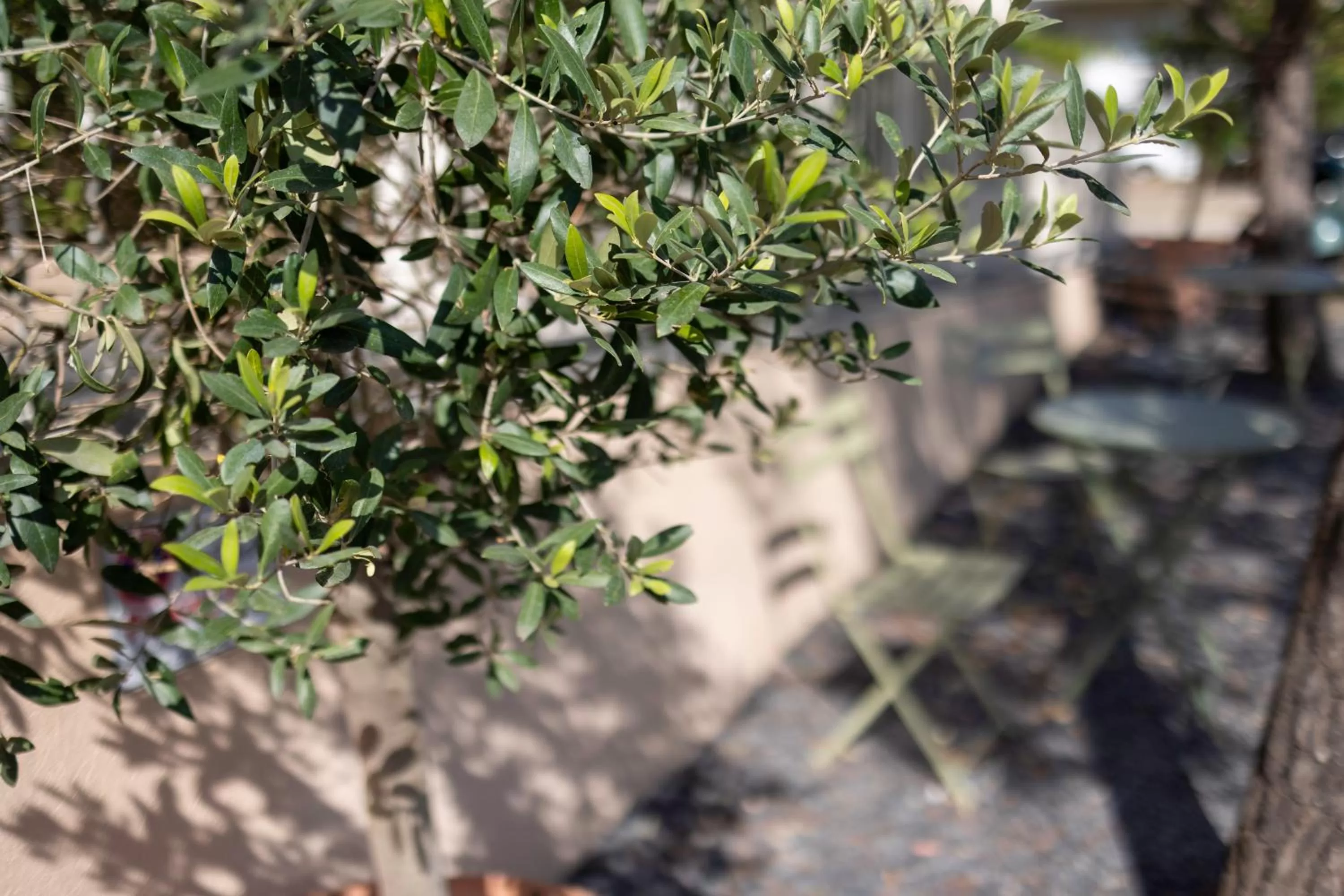 Facade/entrance in Hôtel restaurant Kyriad Fréjus