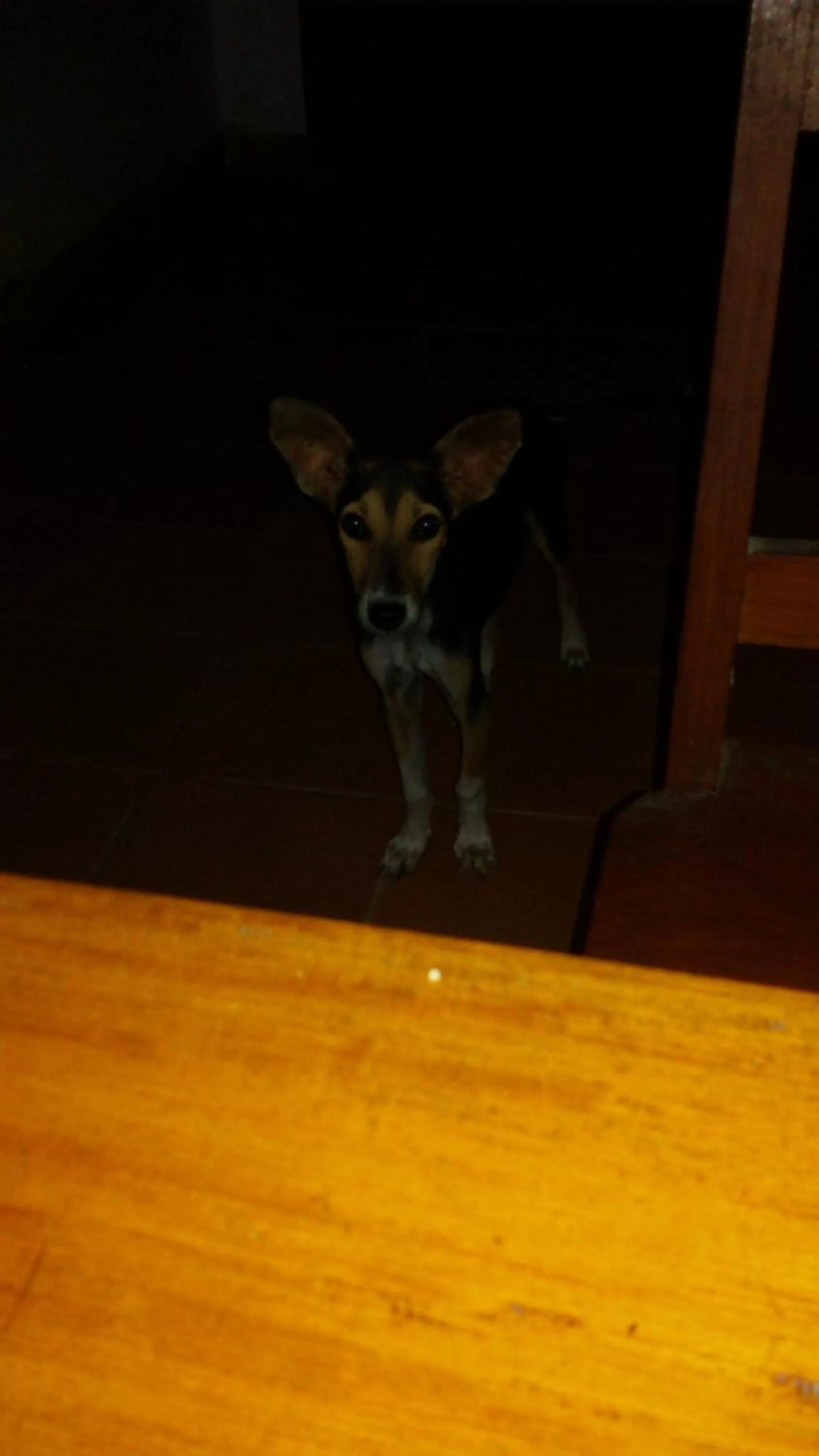 Staff in Bahari Pori Resort