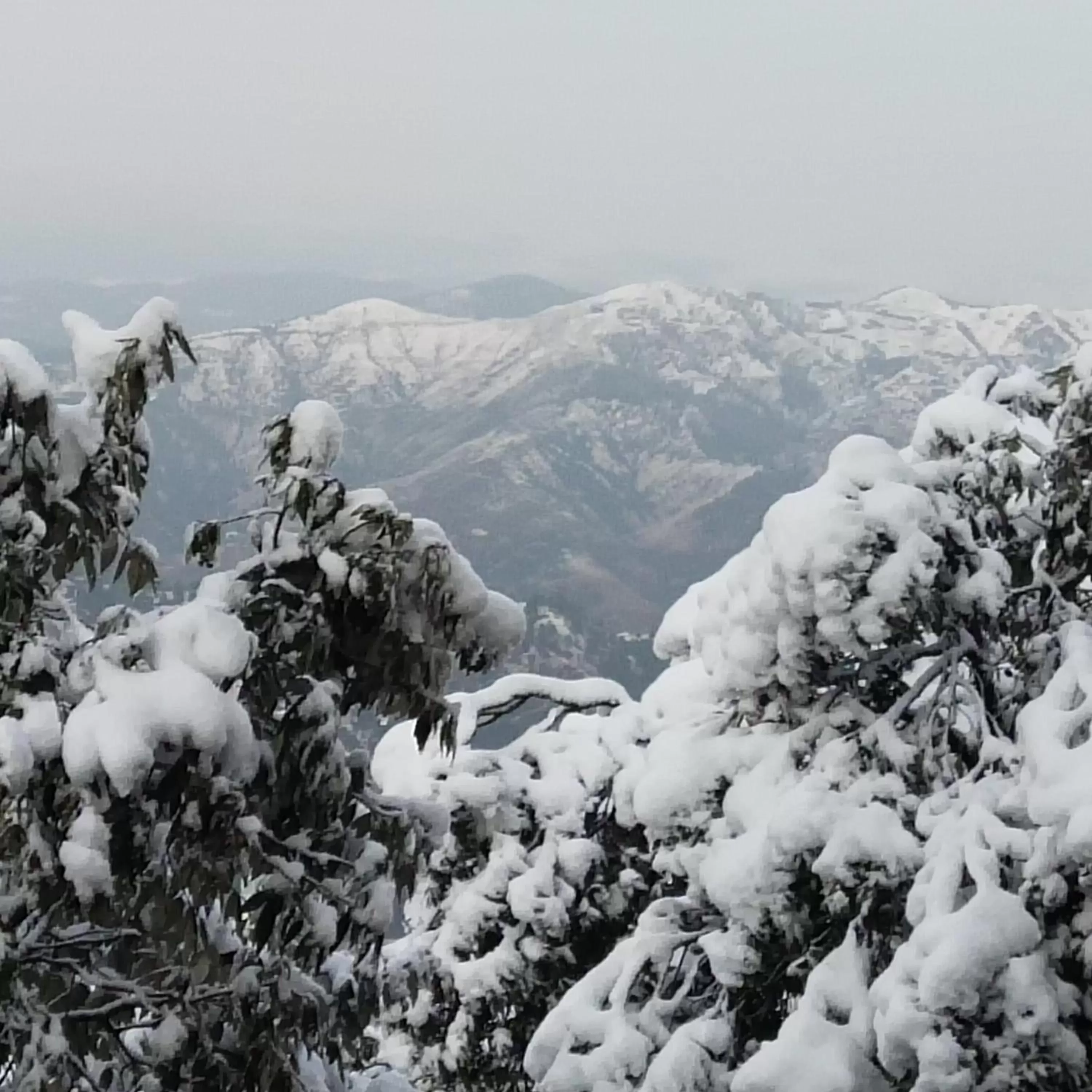 Winter in Dhanlaxmi Apartments