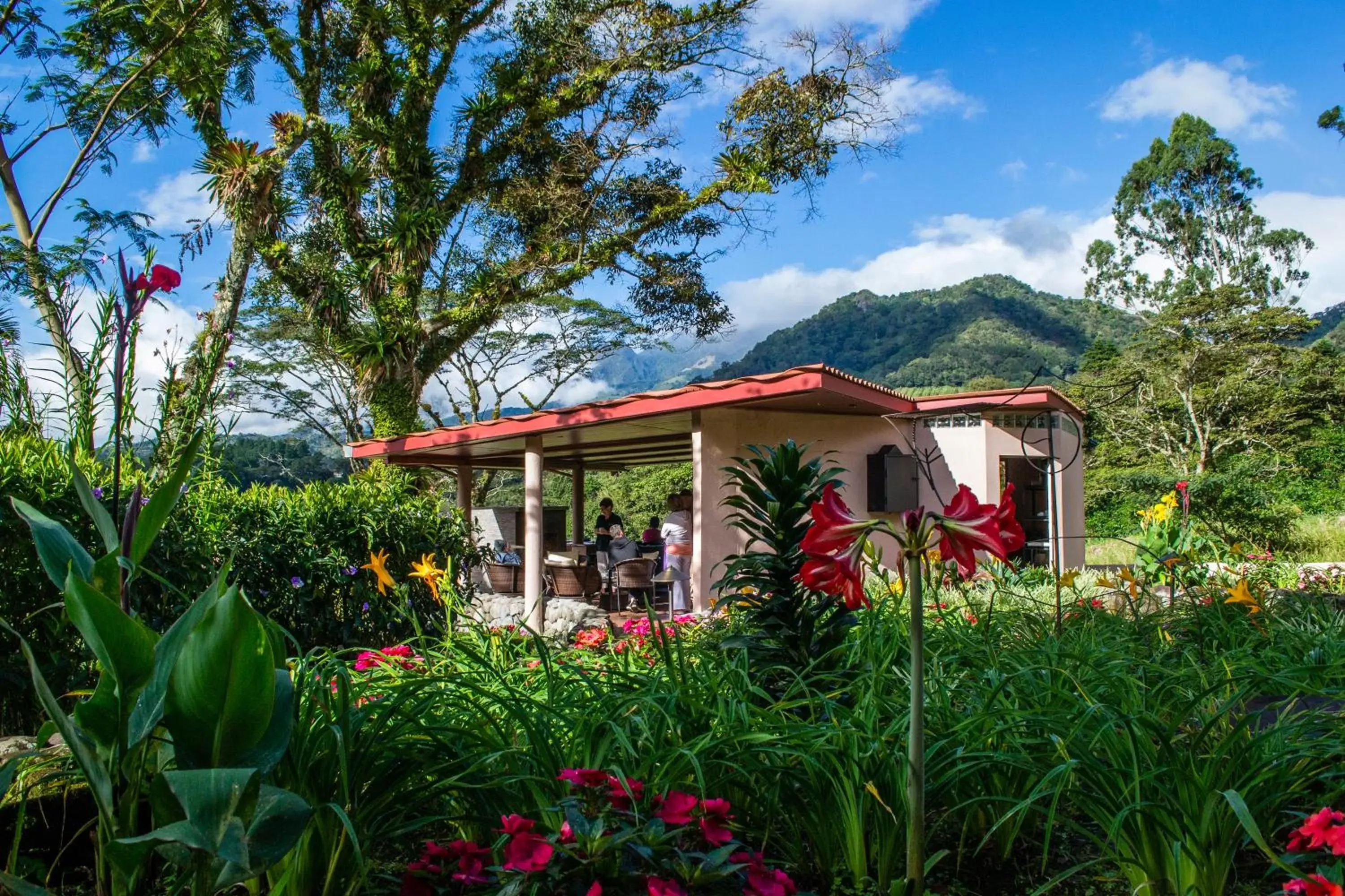 Lounge or bar in The Inn at Palo Alto Lounge or bar in The Inn at Palo Alto