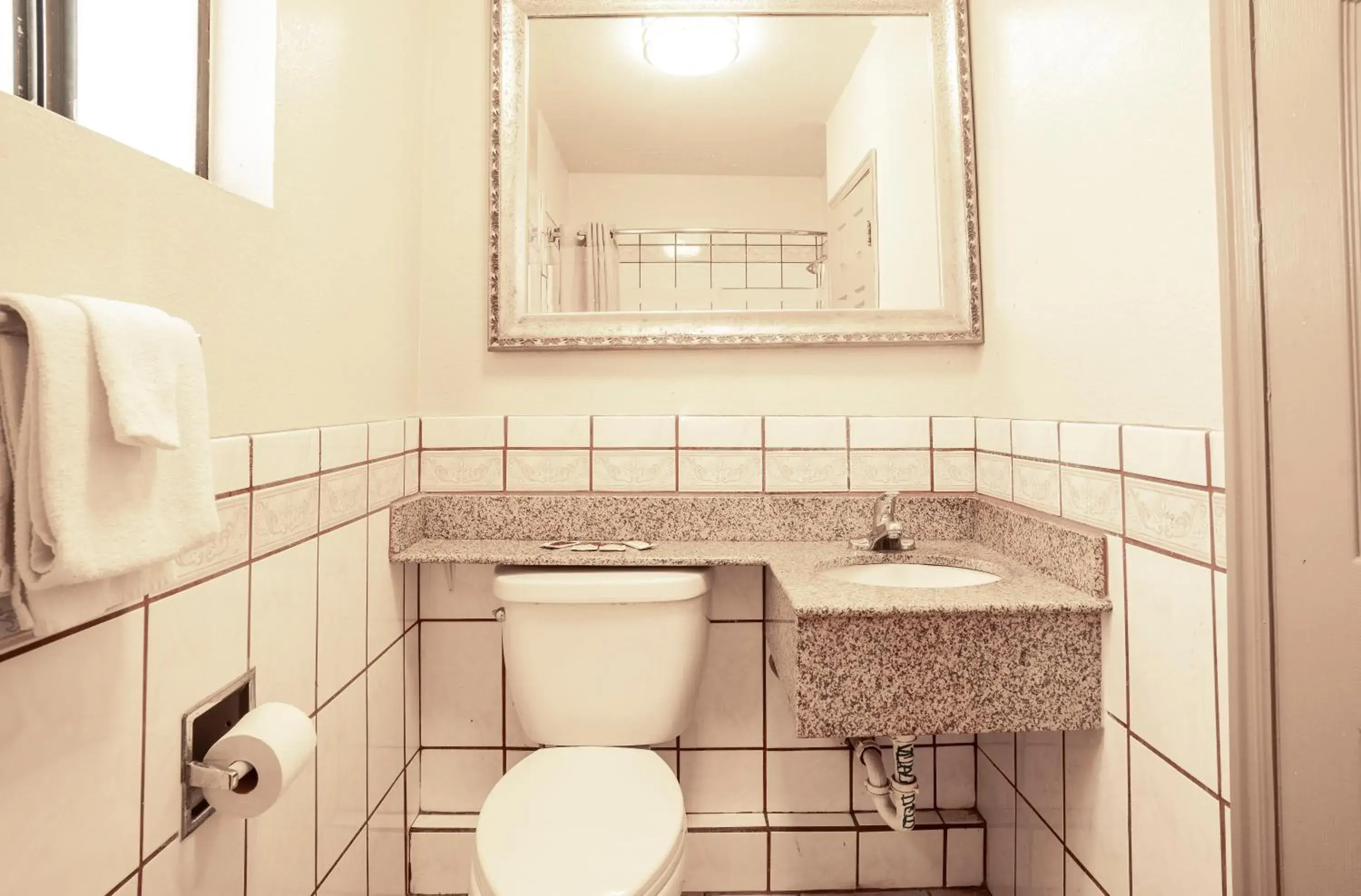 Bathroom in Economy Inn Hollywood