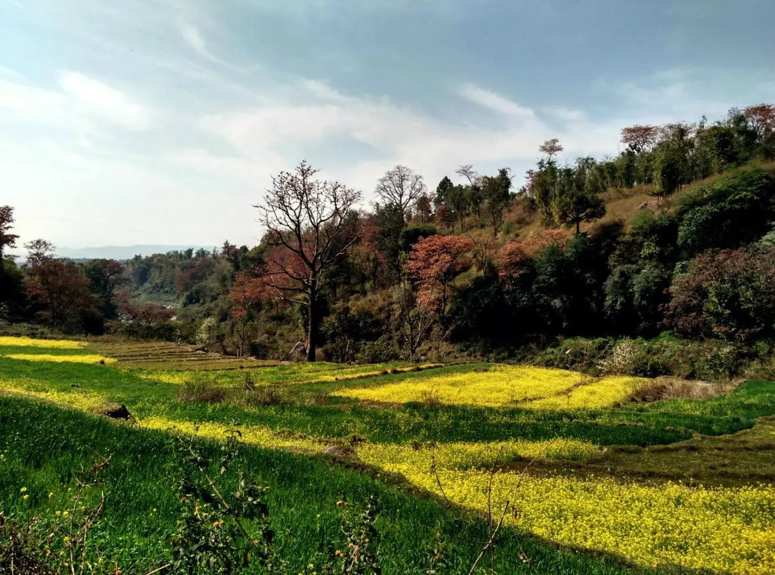 Nearby landmark, Natural Landscape in Rakkh Resort, a member of Radisson Individuals Retreats