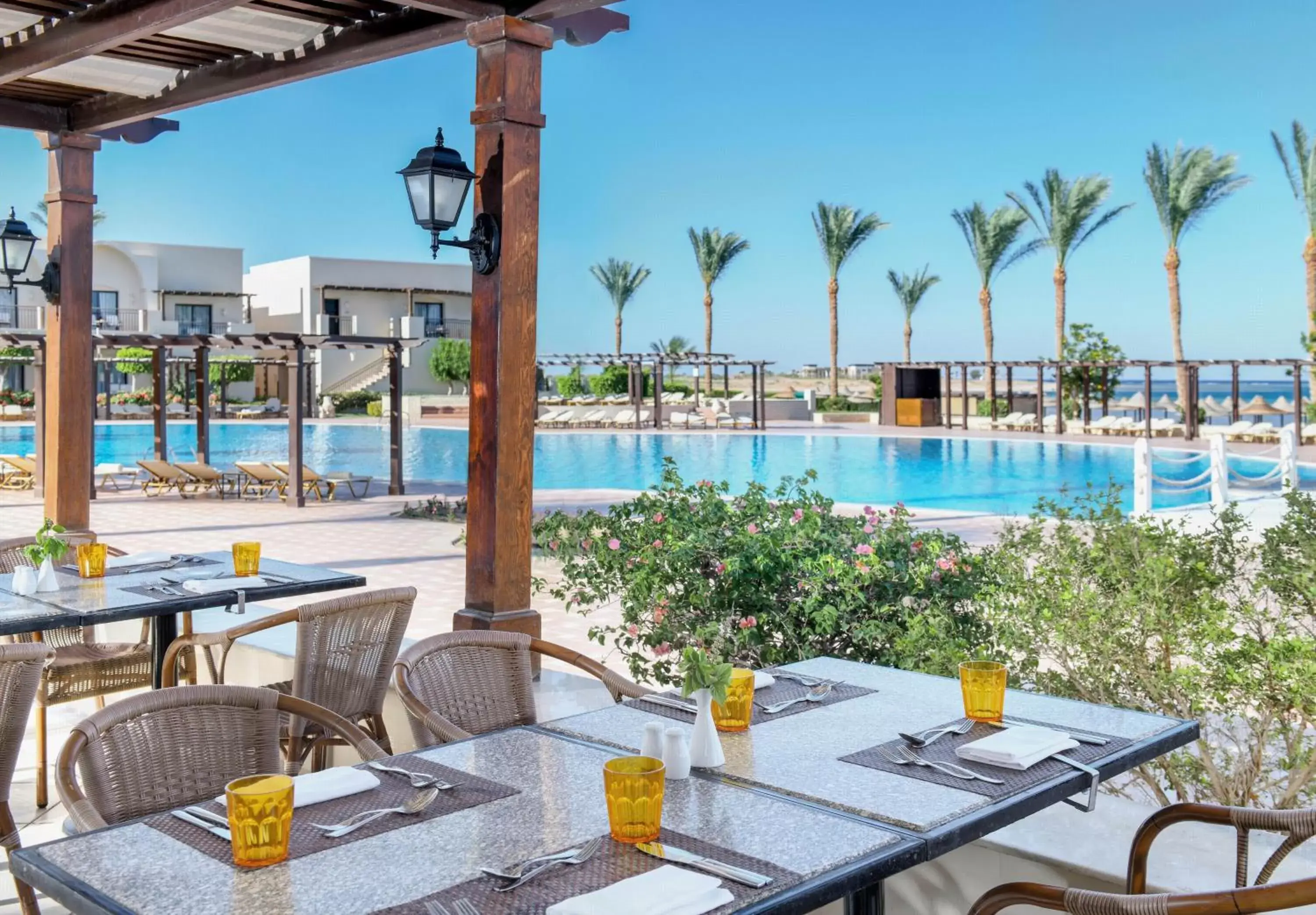 Lounge or bar, Swimming Pool in Jaz Belvedere Resort