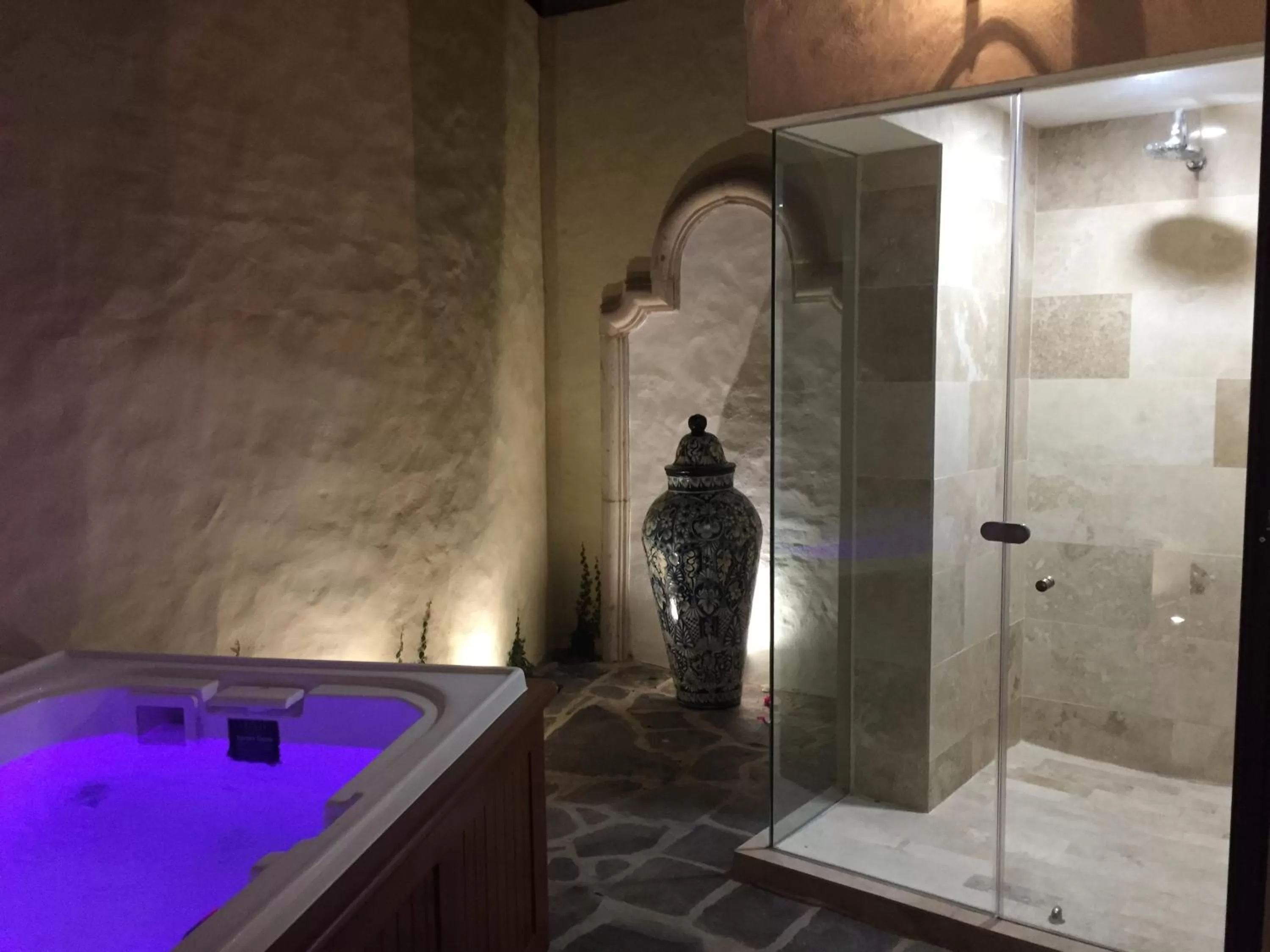 Shower in Hotel Lindo Ajijic Bed & Breakfast