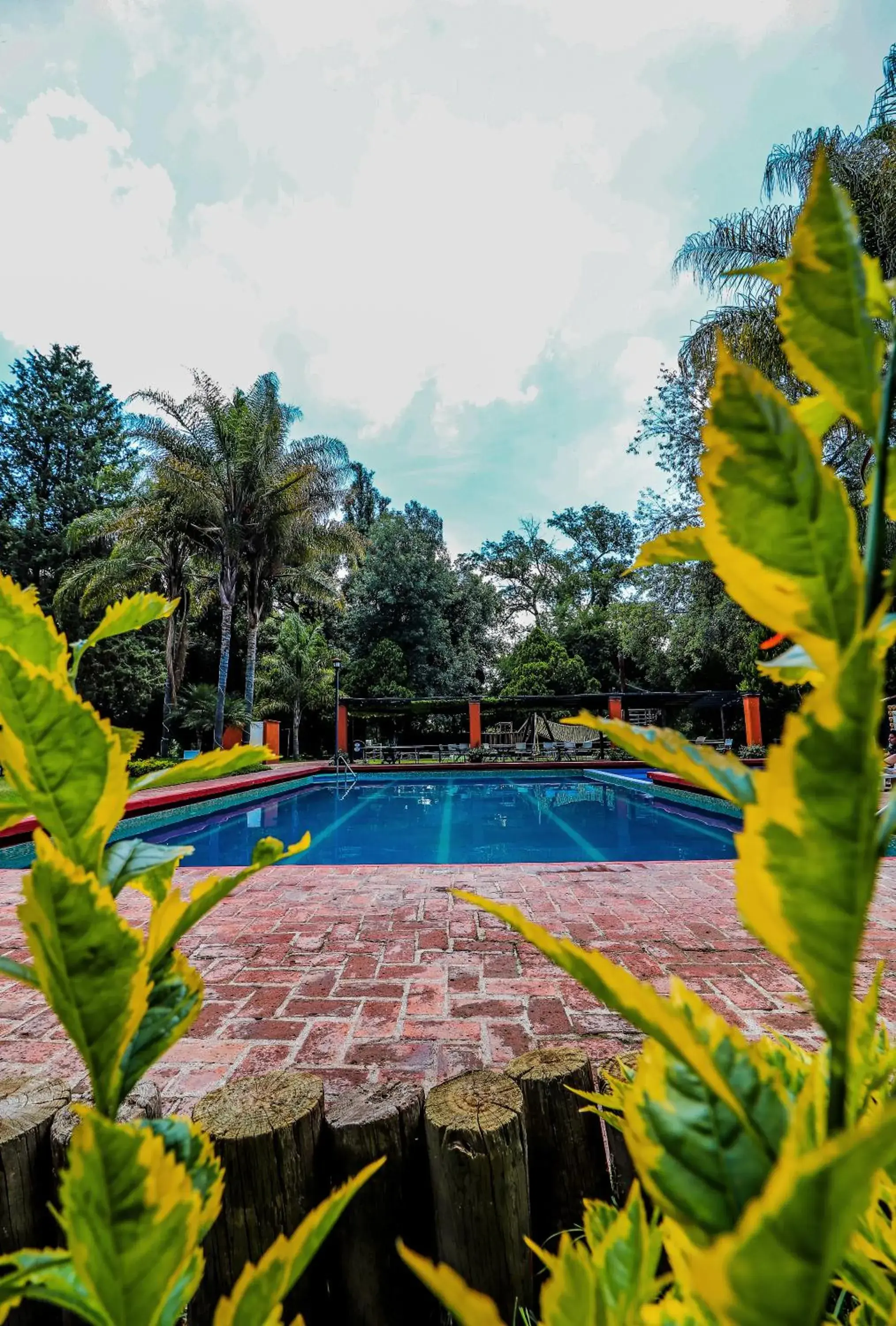 Pool view, Swimming Pool in El Marques Hacienda