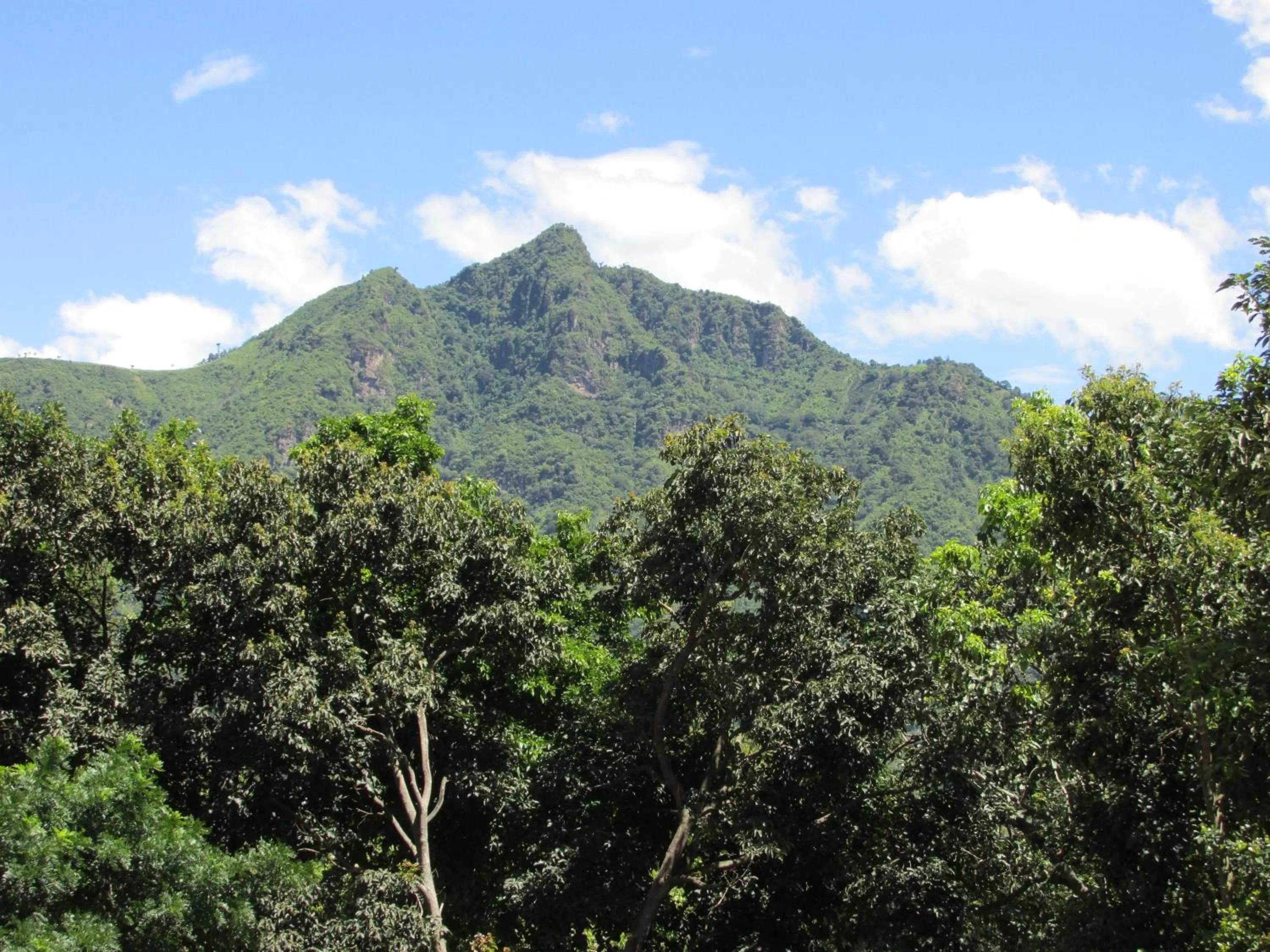 Landmark view in Eco-Hotel Mayachik