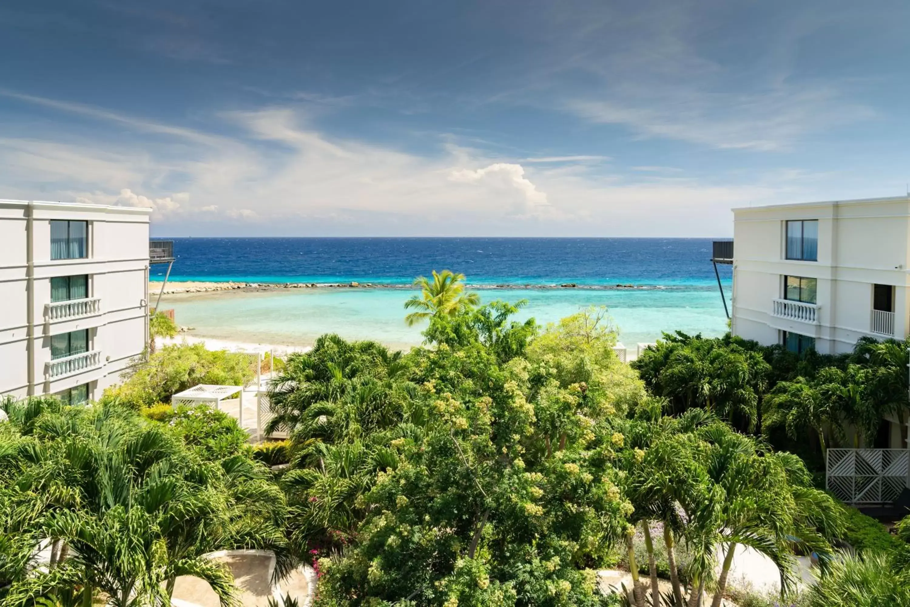 Photo of the whole room in Curaçao Marriott Beach Resort