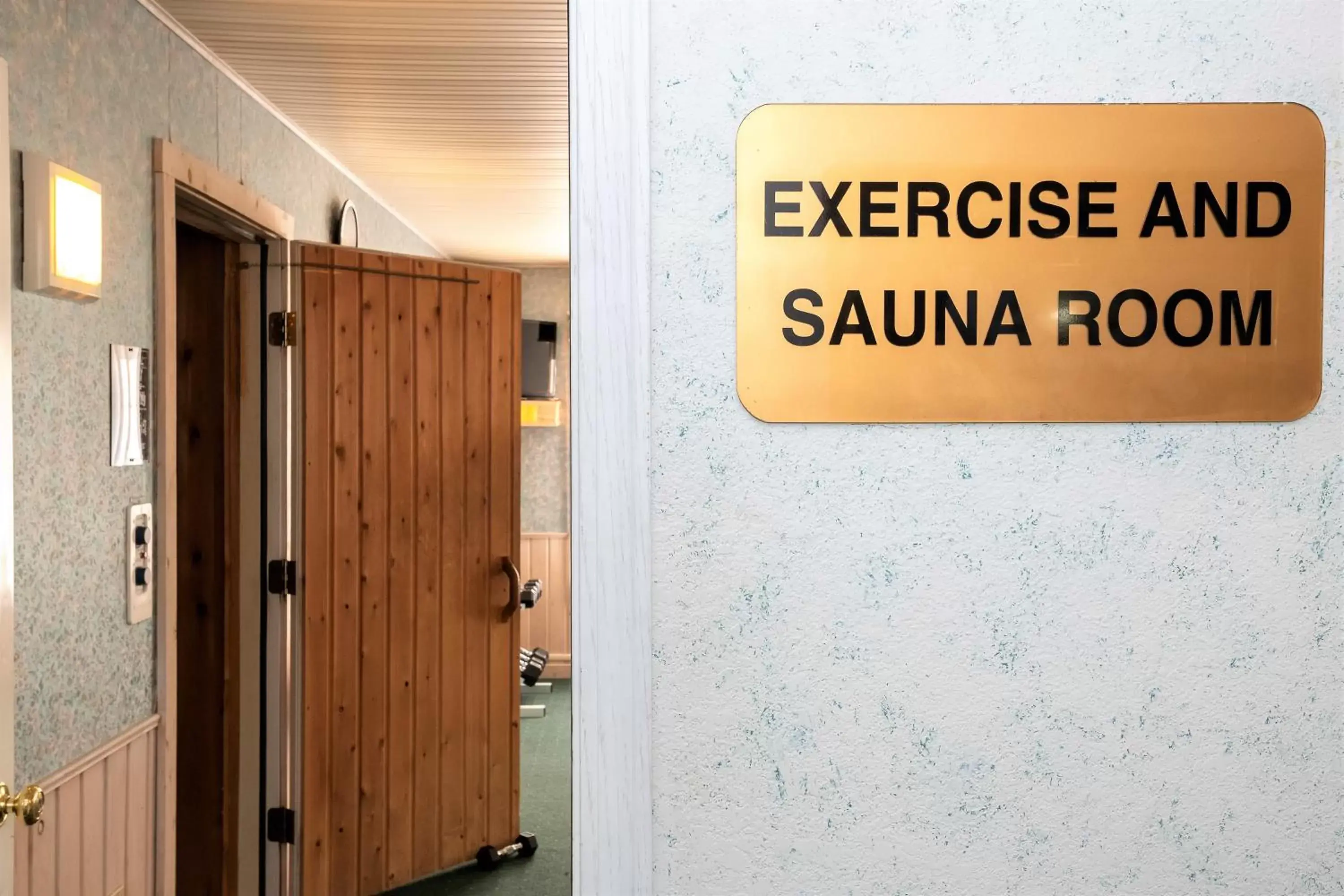 Sauna in Mountain Host Motor Inn