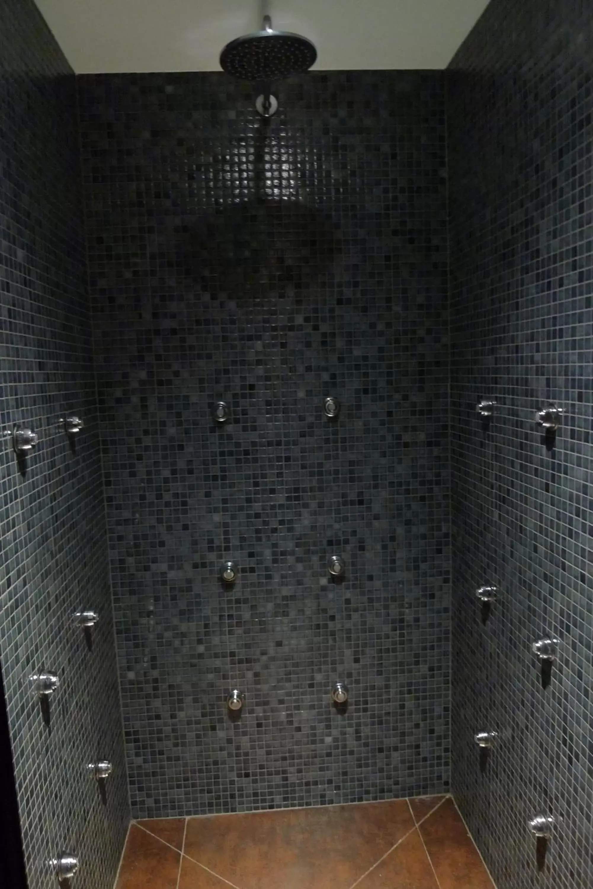 Shower in Hotel & SPA Niunit Shower in Hotel & SPA Niunit