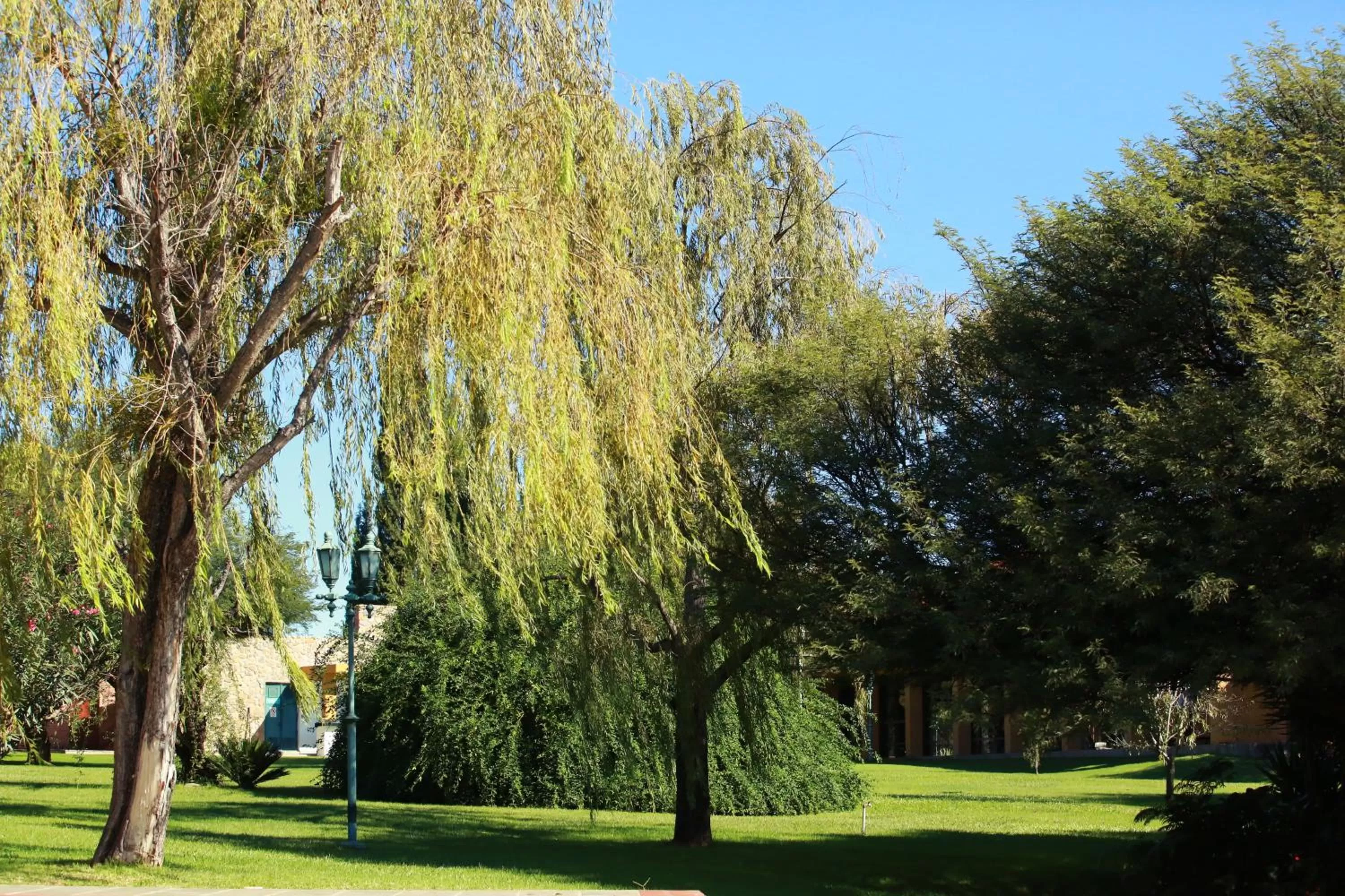 Garden view in Hotel Los Parrales