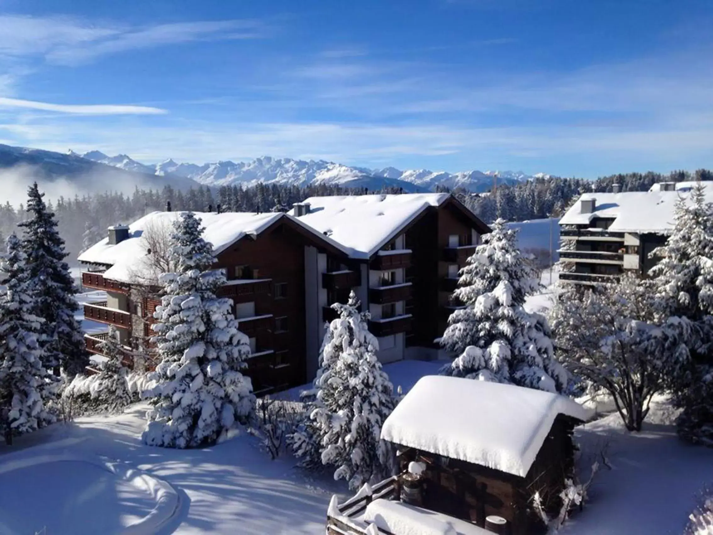 Garden view, Winter in Hotel La Prairie