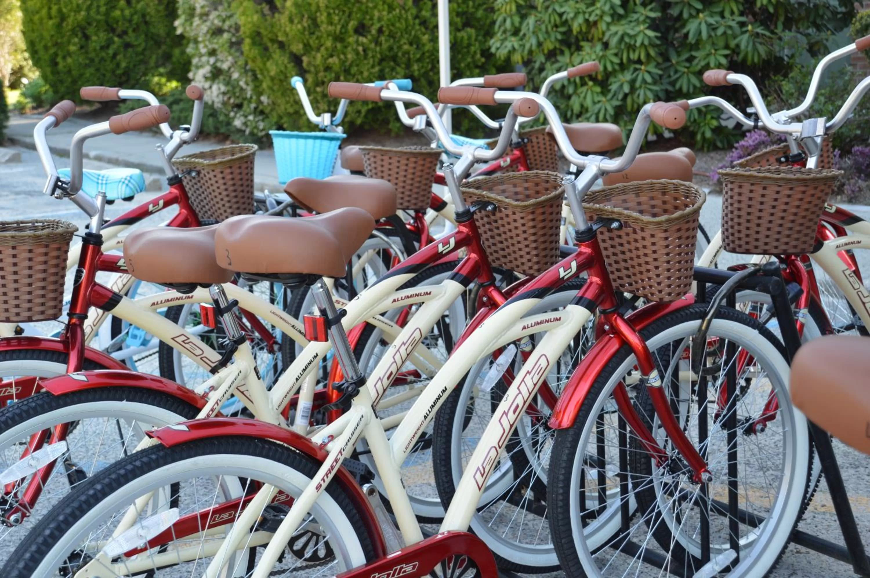 Entertainment in Southampton Inn