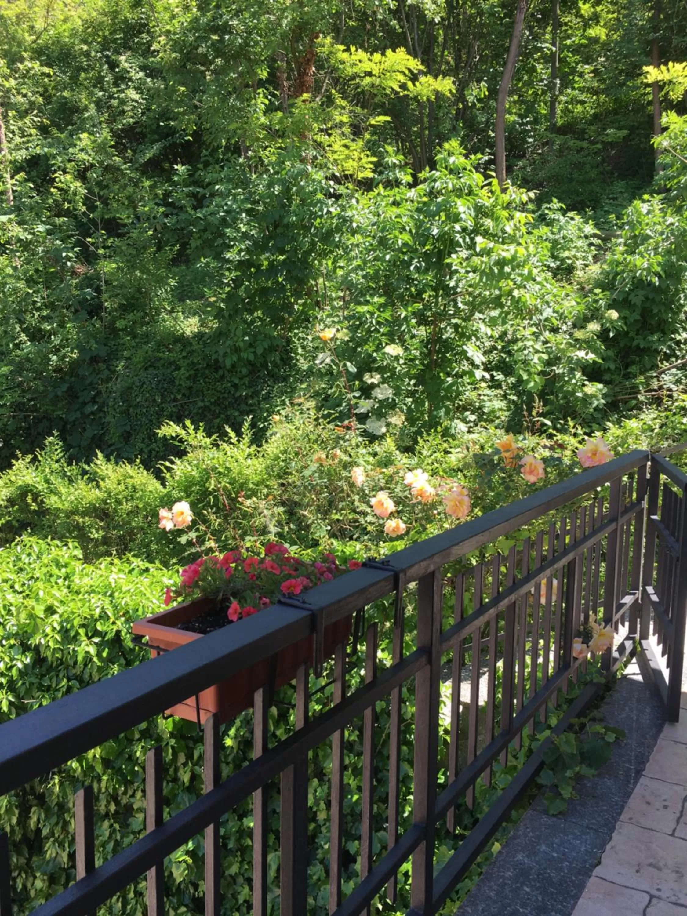 Rossella alla Villarella dei Tulipani