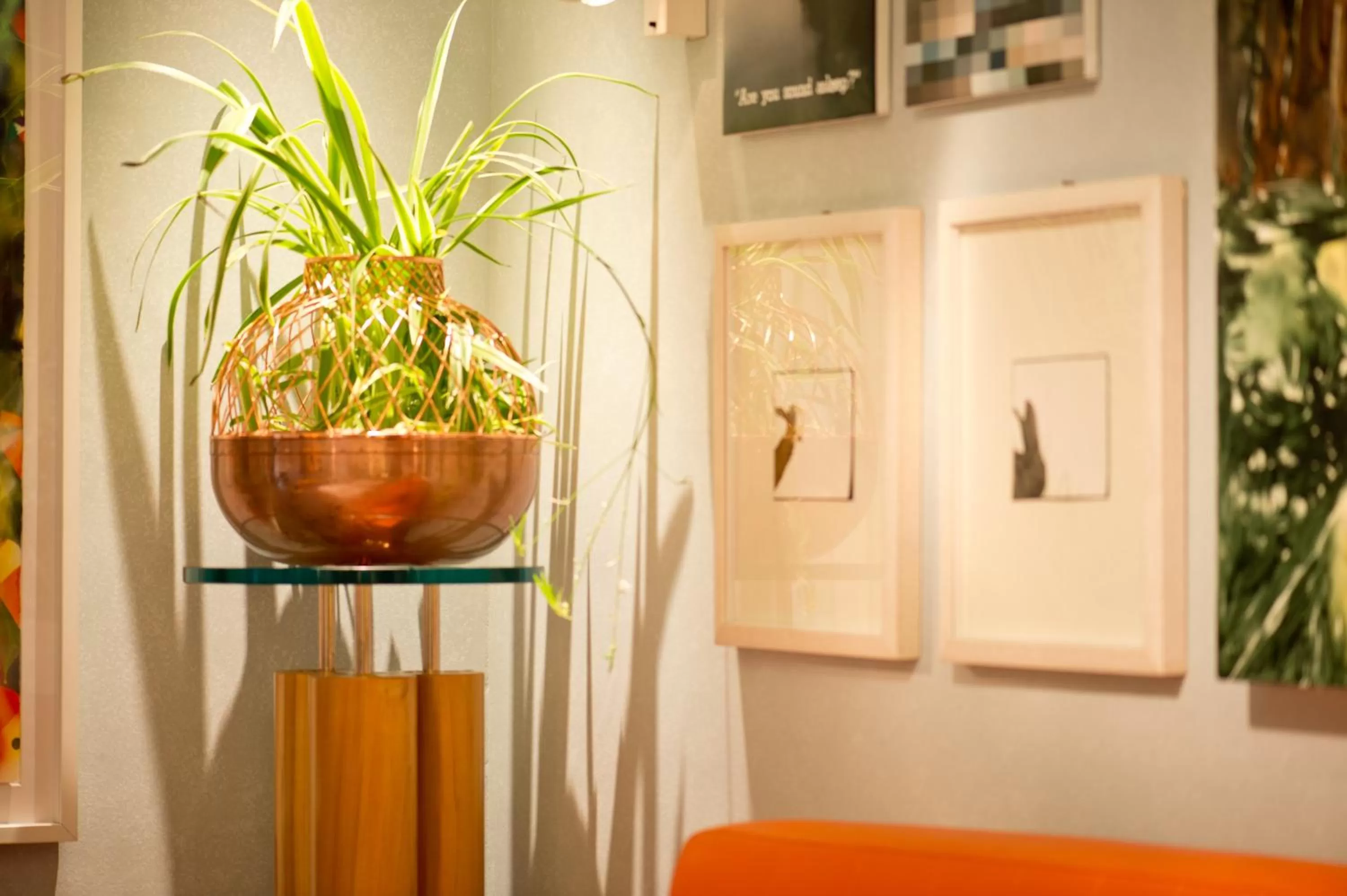 Area and facilities in Hotel Spadari Al Duomo