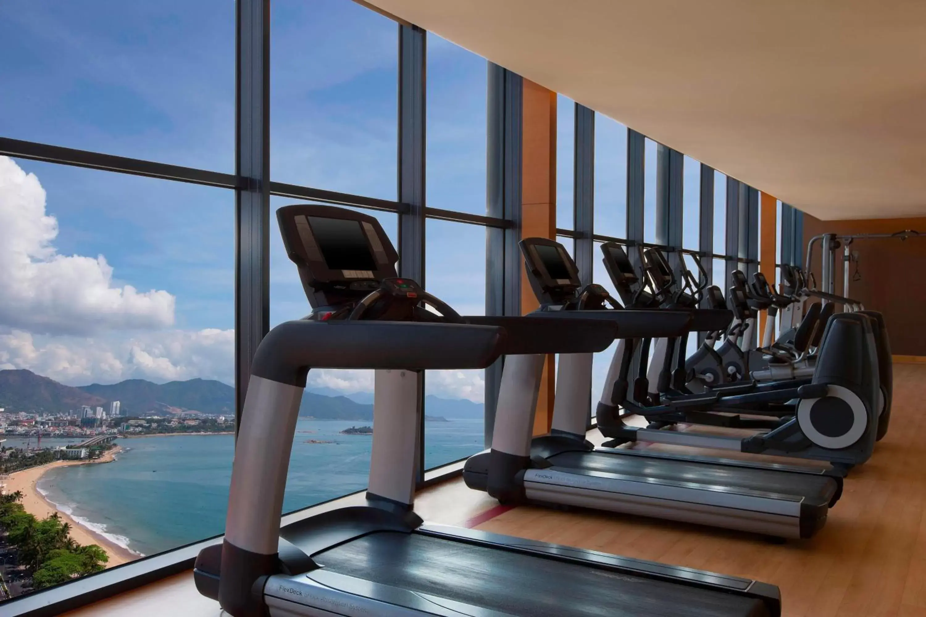 Fitness centre/facilities, Fitness Center/Facilities in Sheraton Nha Trang Hotel & Spa