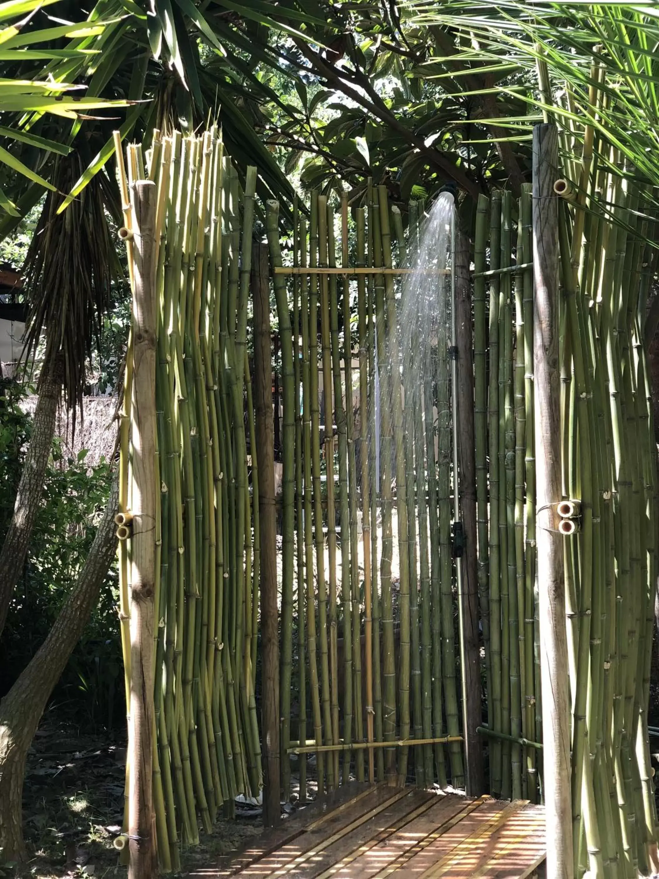 Garden in Villa Berghella