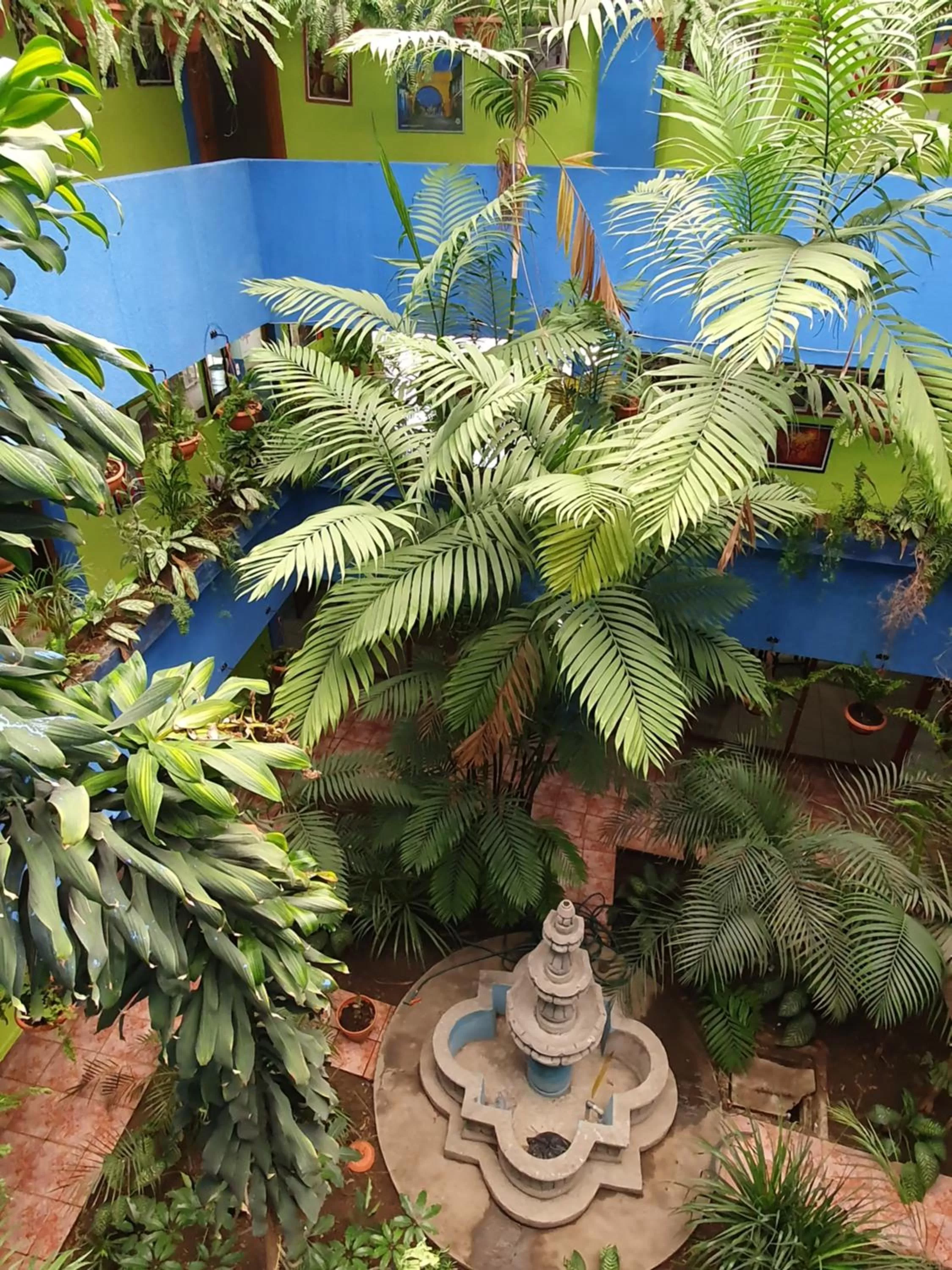 hotel kasa kamelot 2