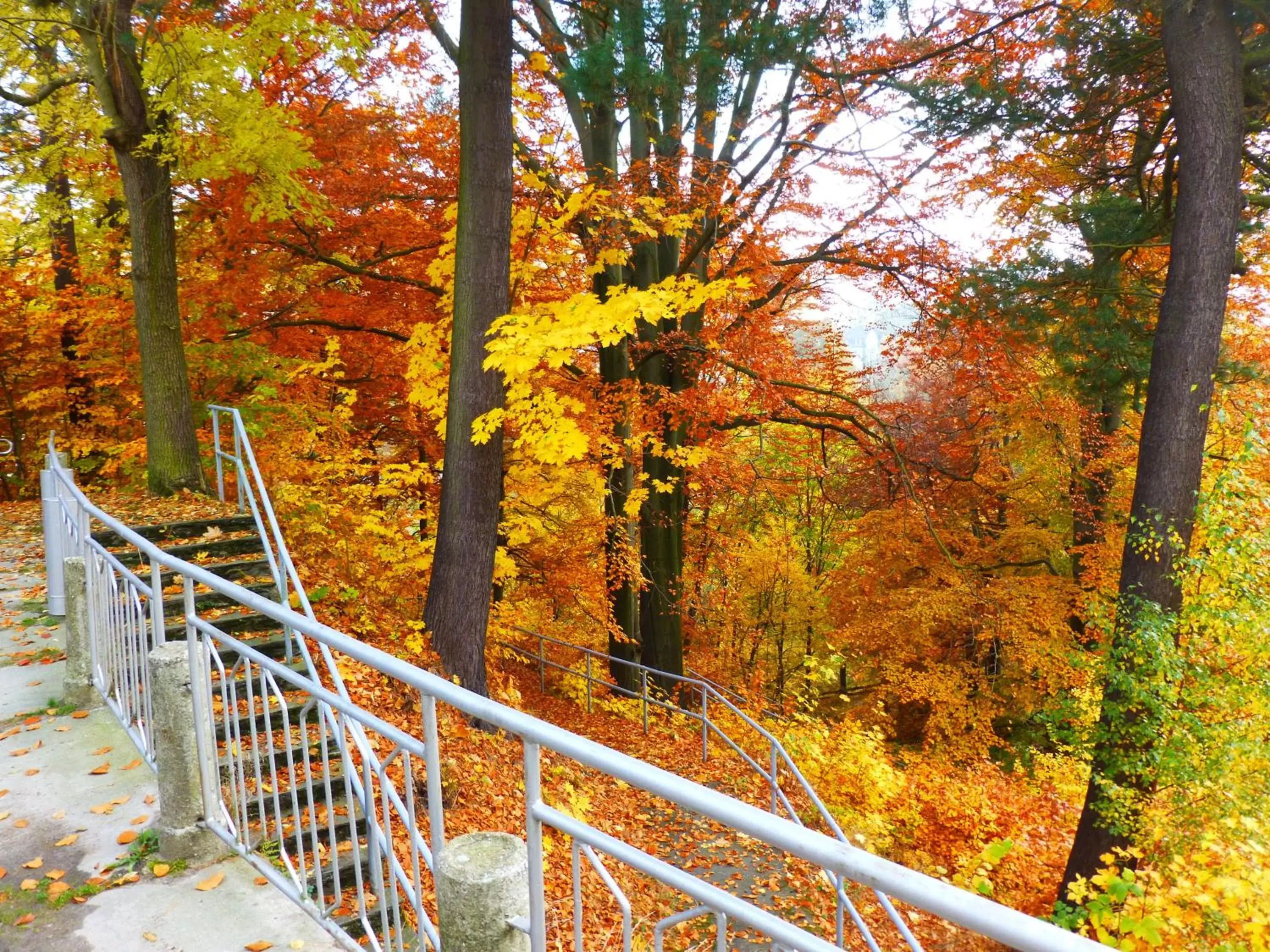 Balcony/Terrace in Parkhotel Waldschlösschen