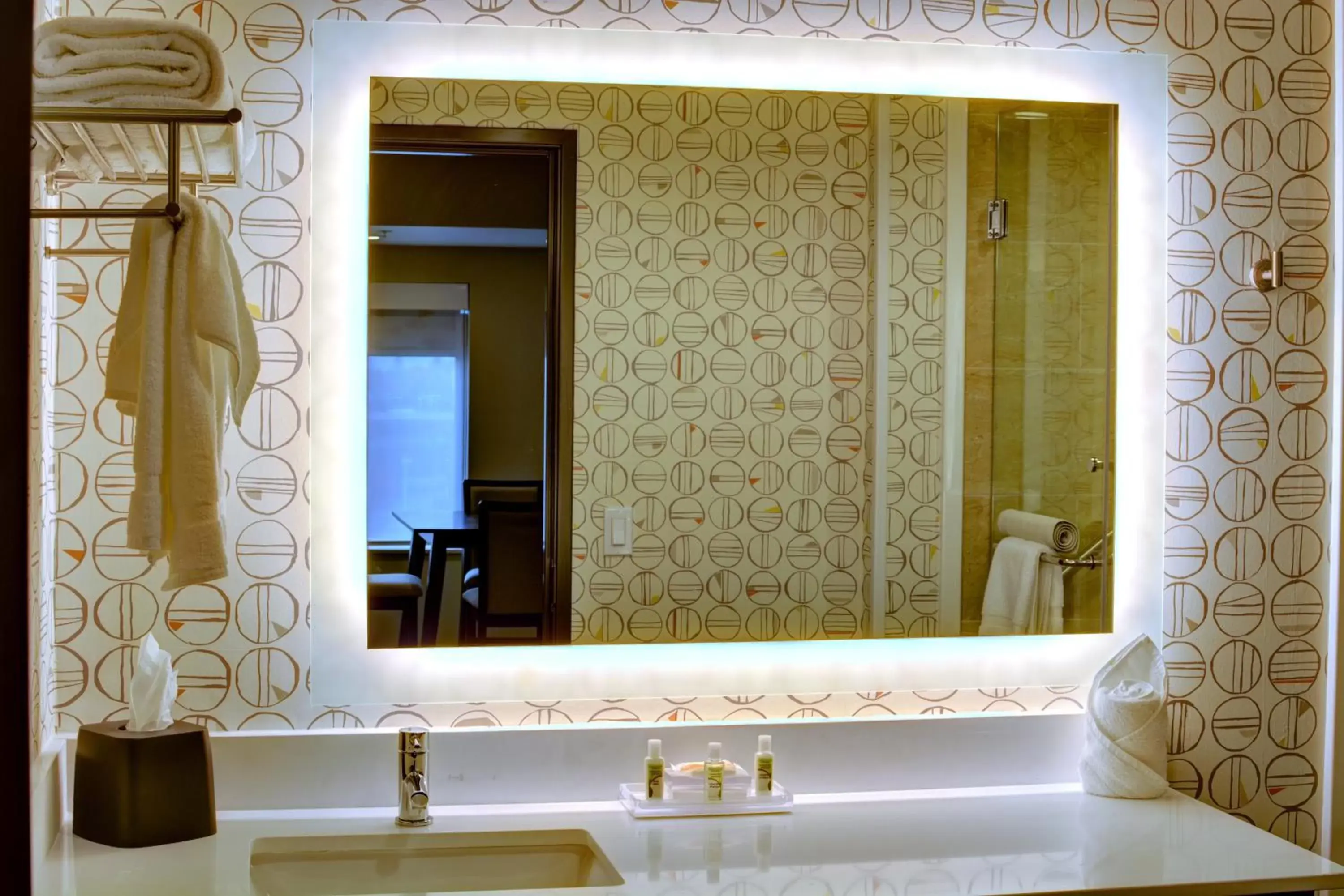 Bathroom in Holiday Inn - Salem, an IHG Hotel