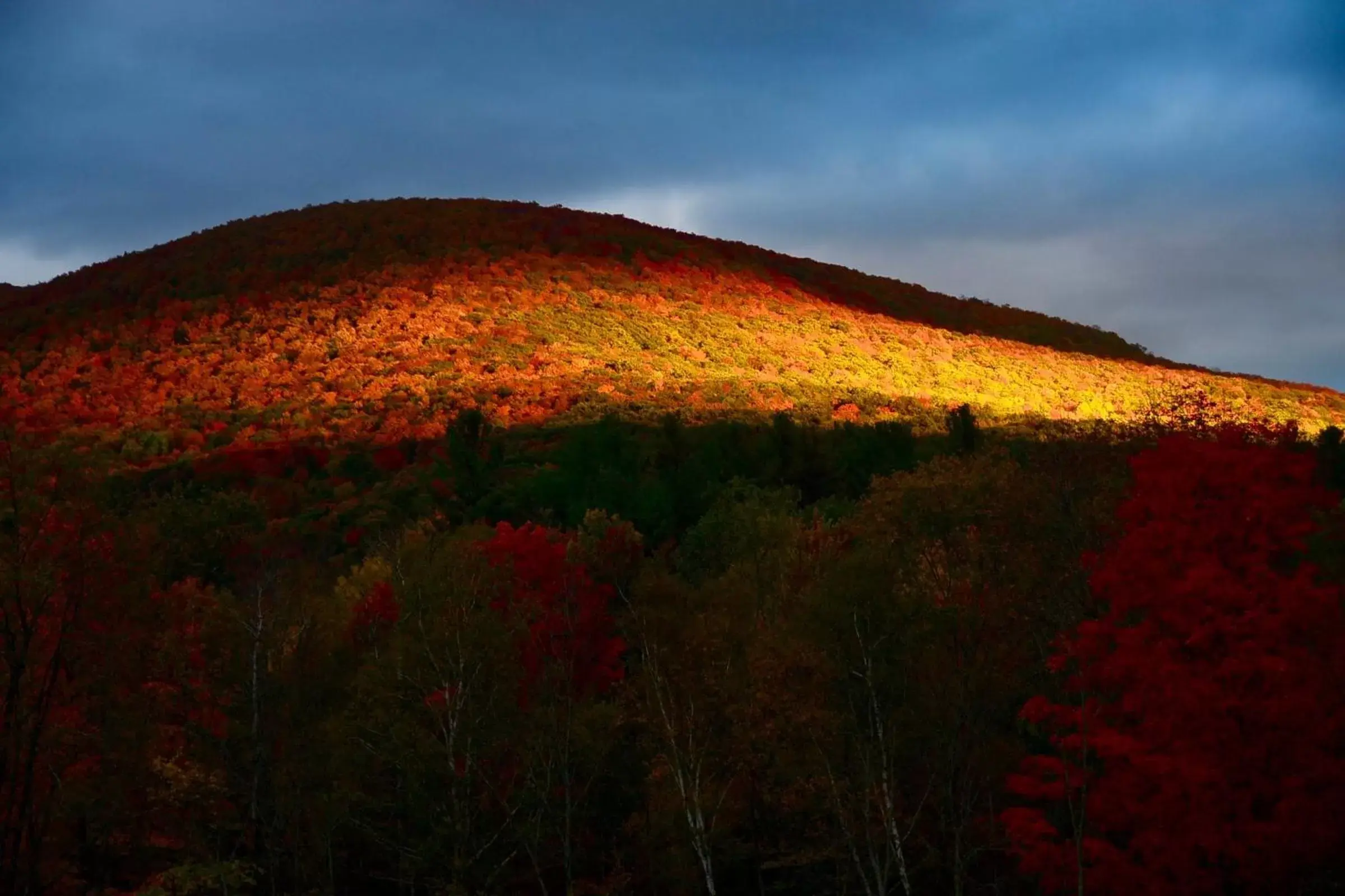 Mountain view, Natural Landscape in Mountain Treasure Bed and Breakfast