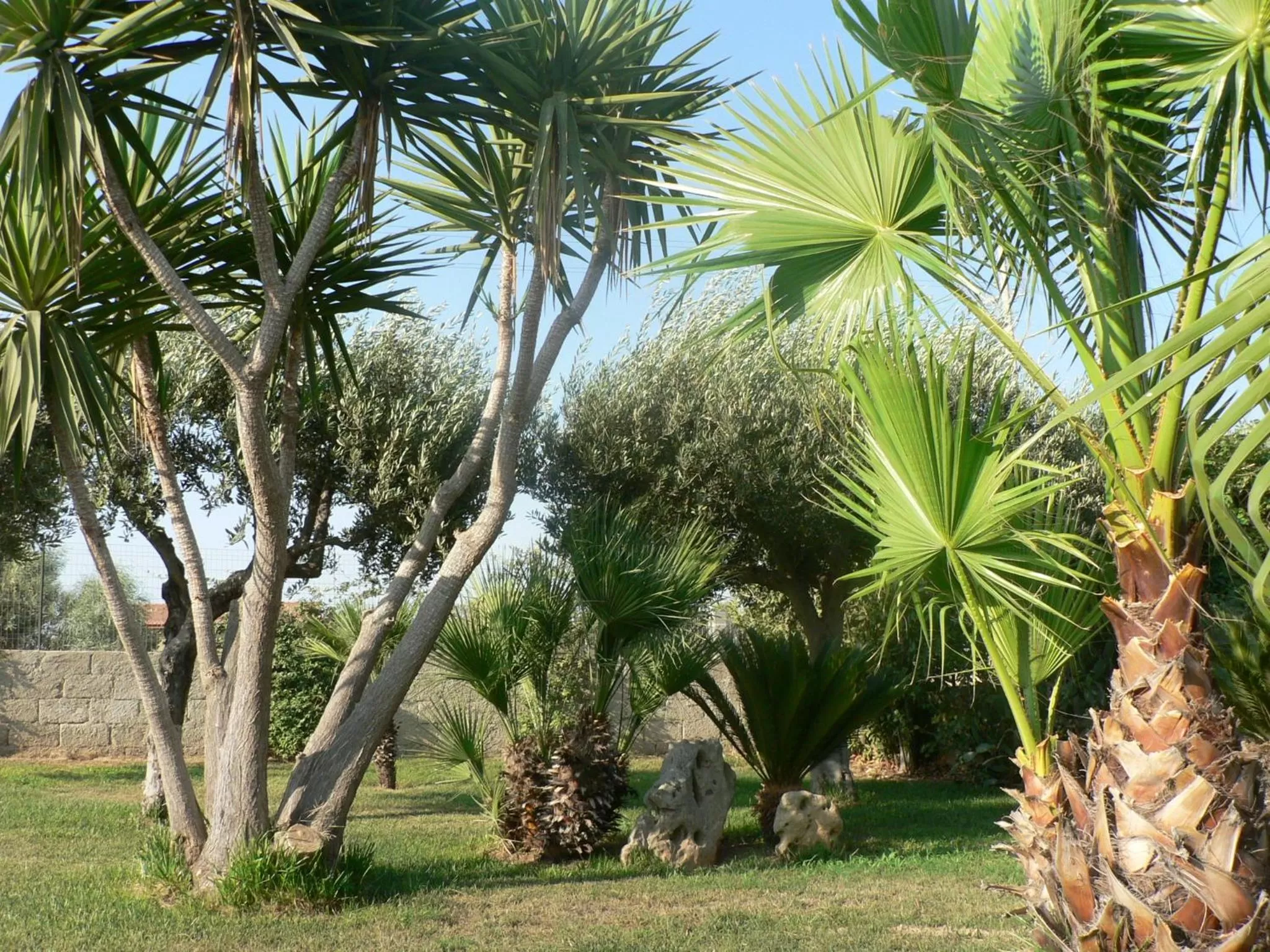Garden in B&B Villa Francesco