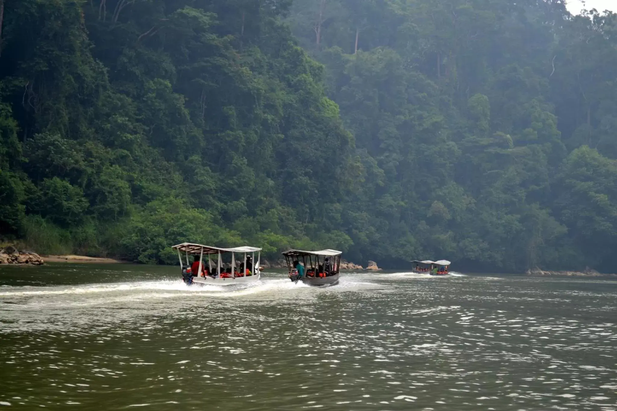 Natural landscape, Beach in Mutiara Taman Negara