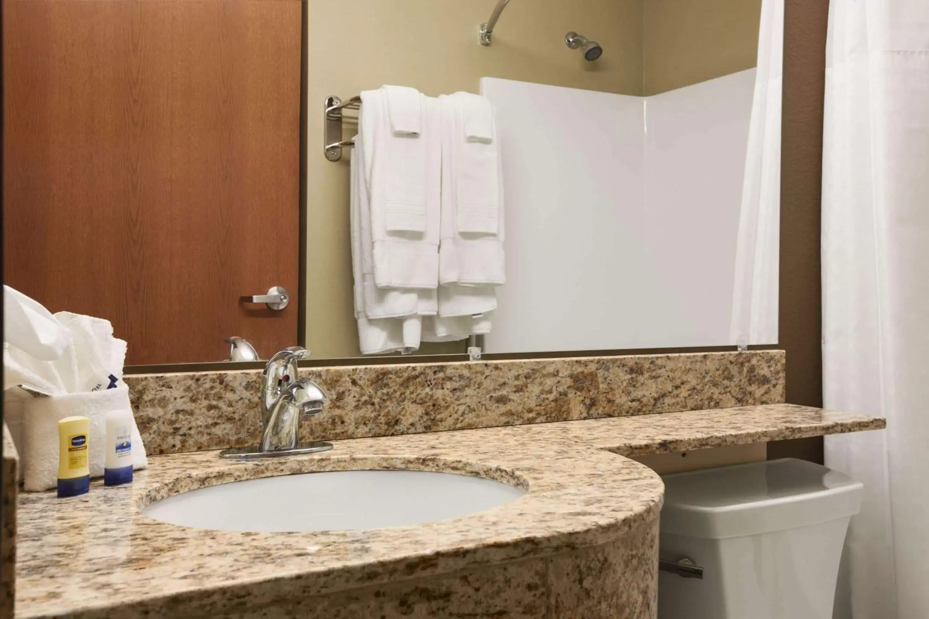 Bathroom in Microtel Inn & Suites Pleasanton