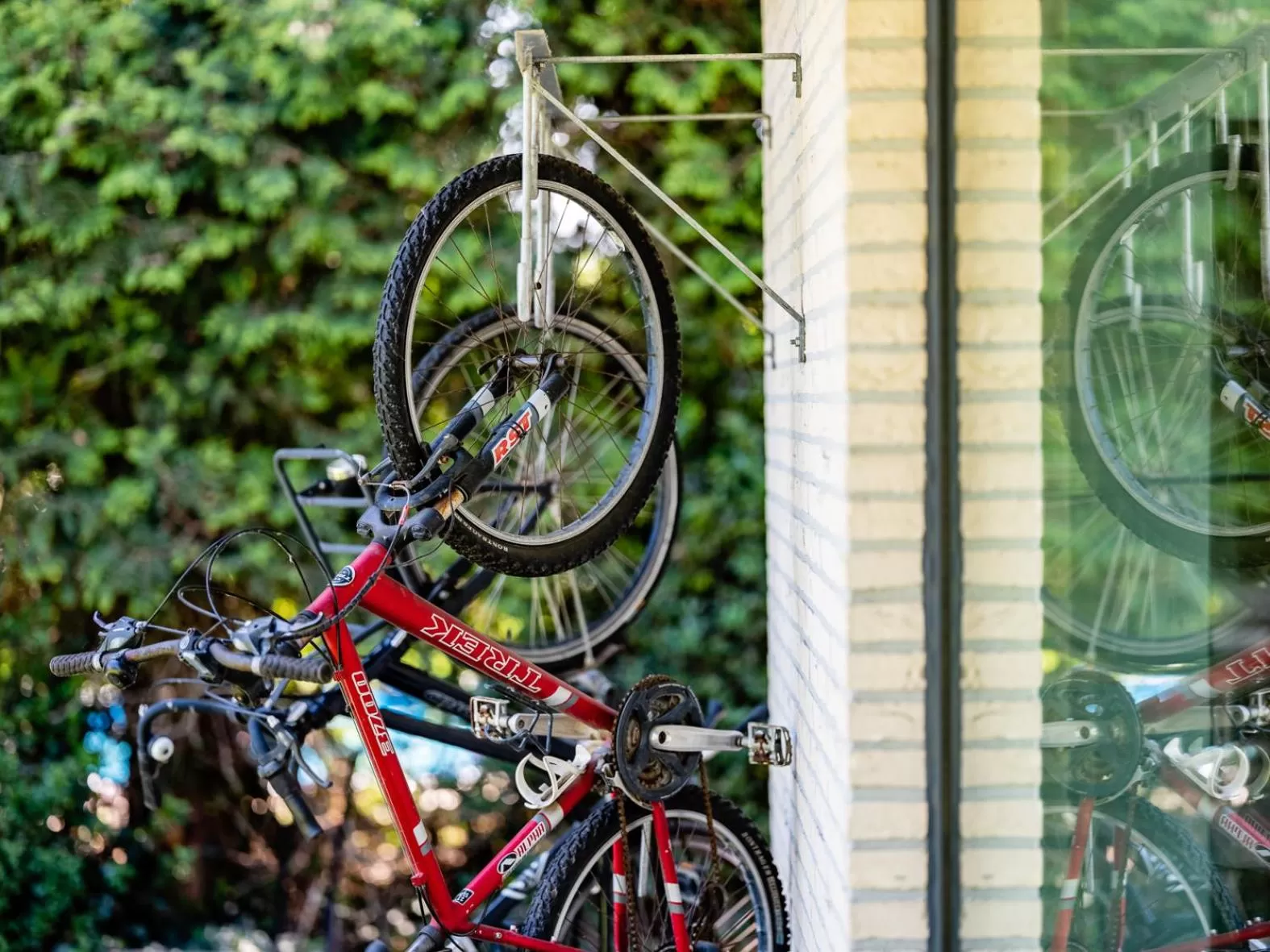 Cycling, Biking in B&B Welness Sport and Pleasure