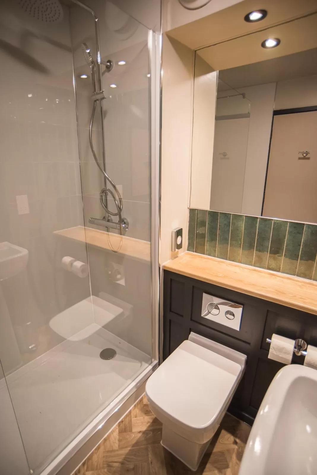 Shower in Cat & Lion Country Pub and Hotel