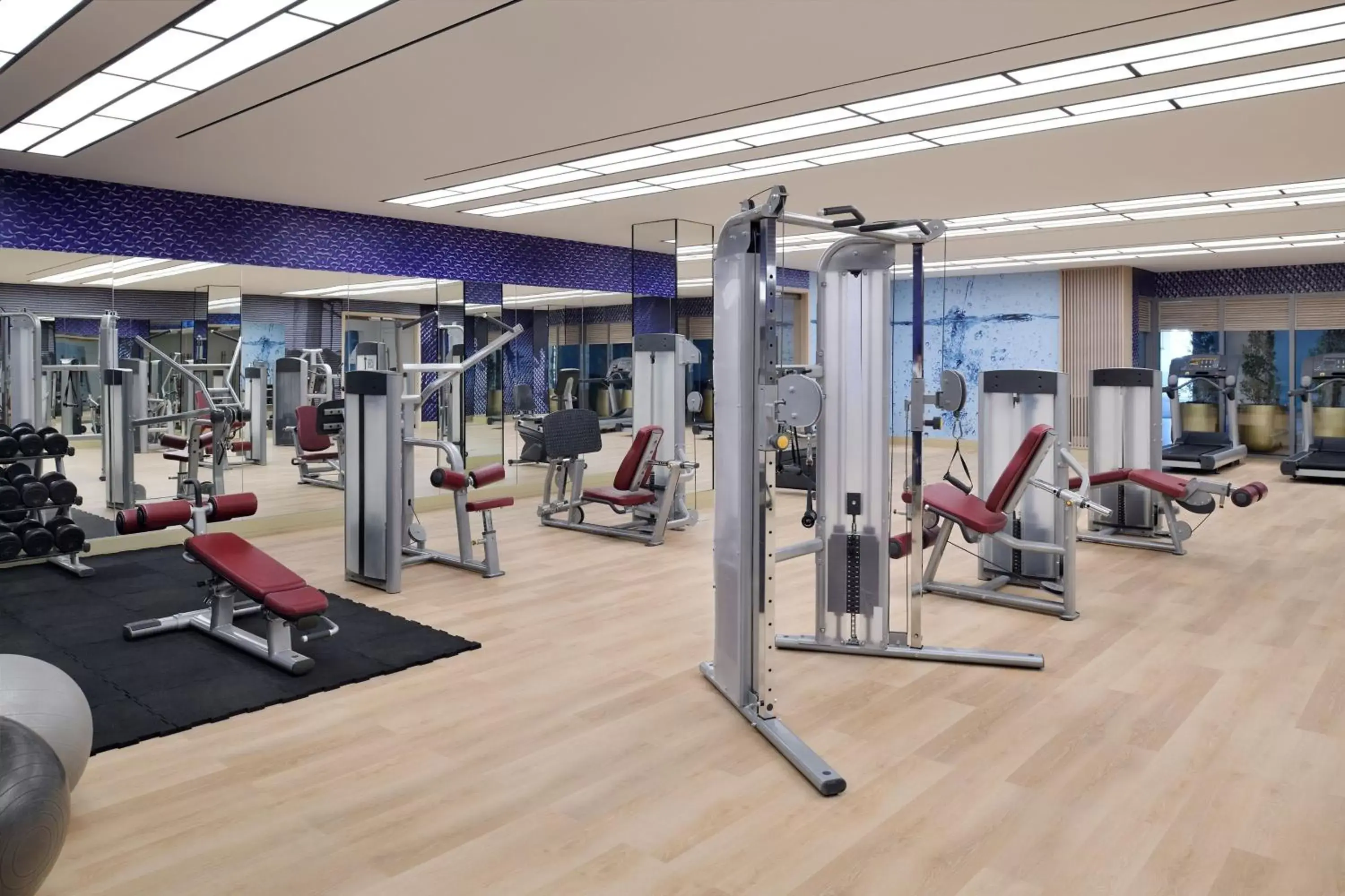Fitness centre/facilities, Fitness Center/Facilities in Delta Hotels by Marriott Dubai Investment Park