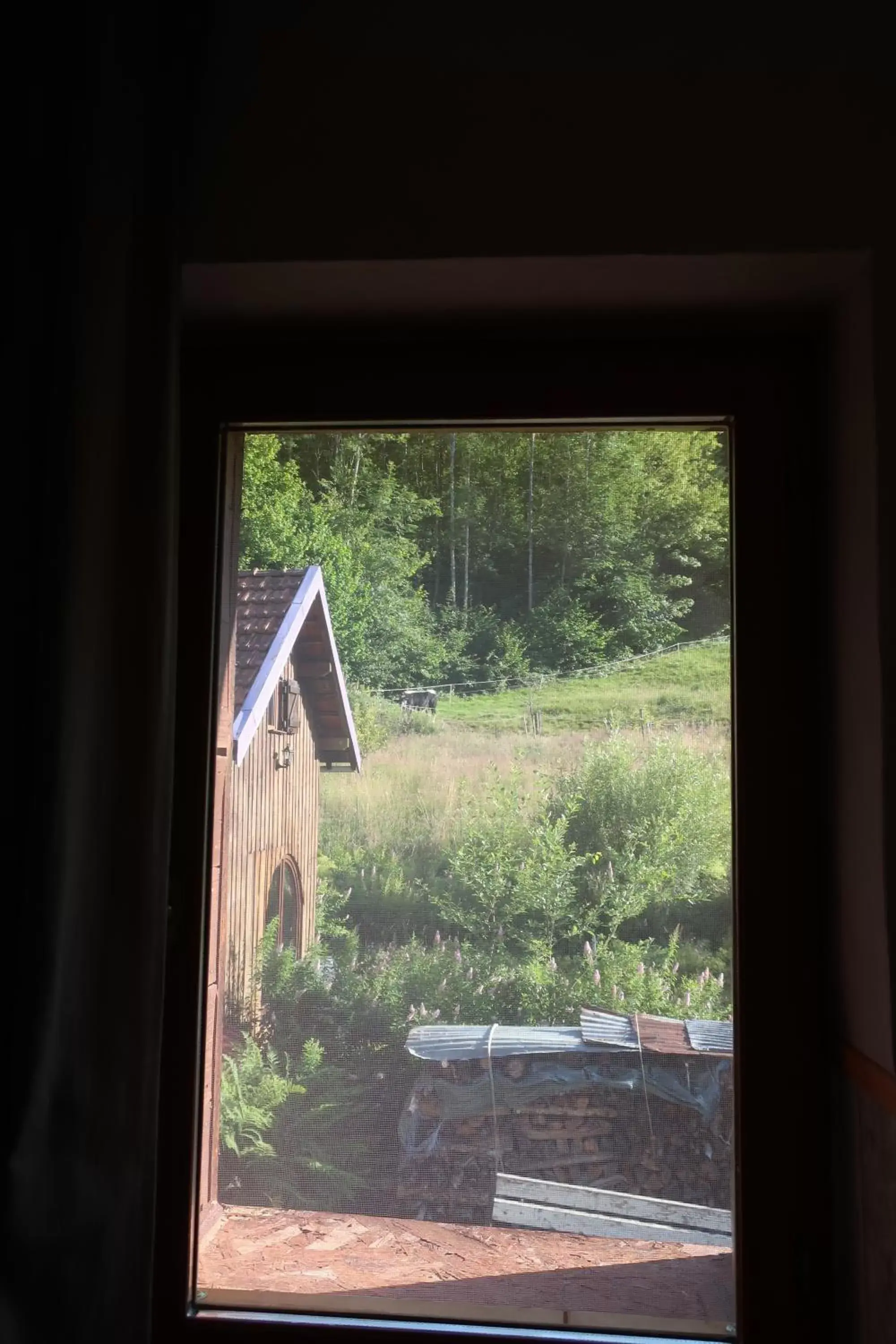 Natural landscape in Gîte et chambres d'hôtes le Chêne